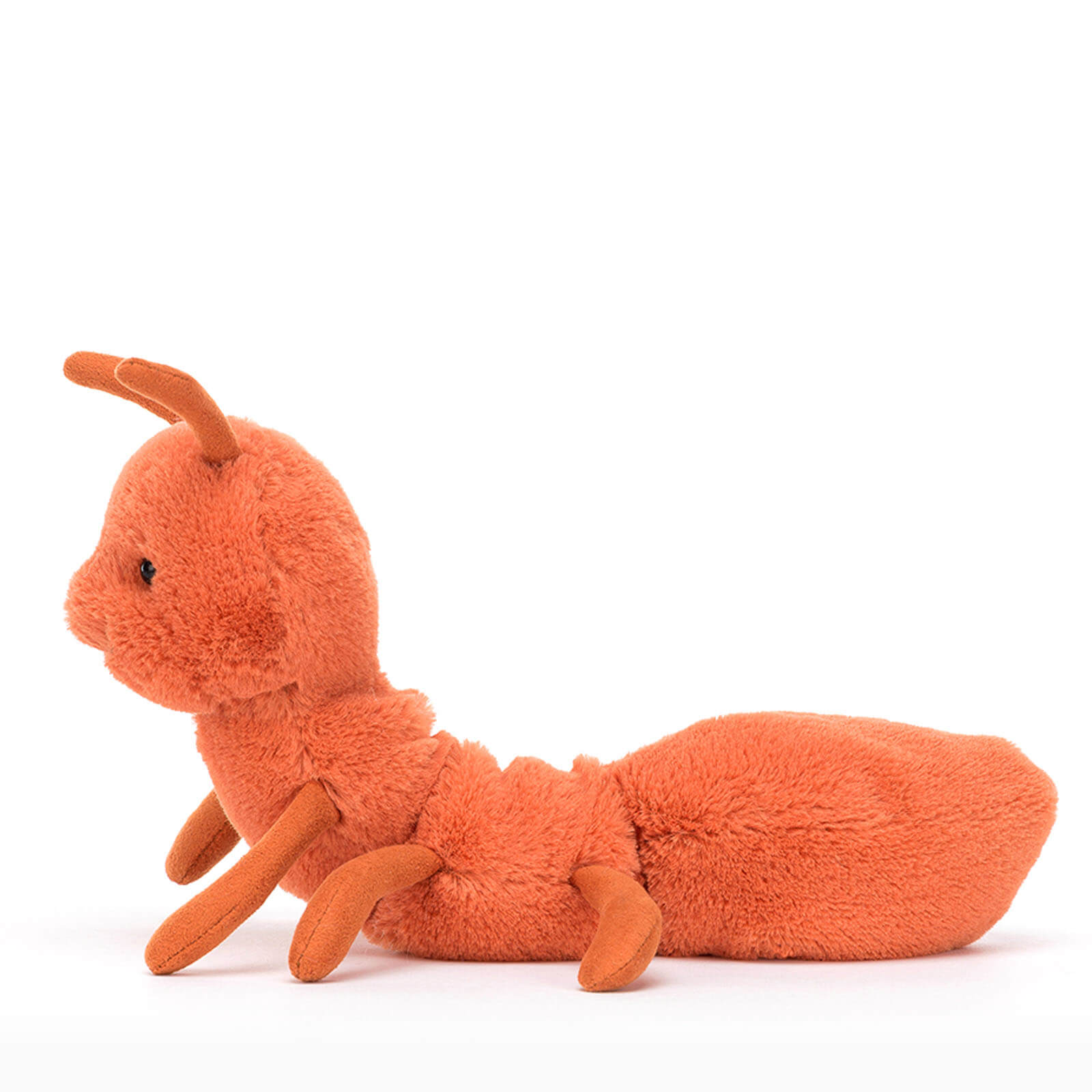 Wriggidig Ant