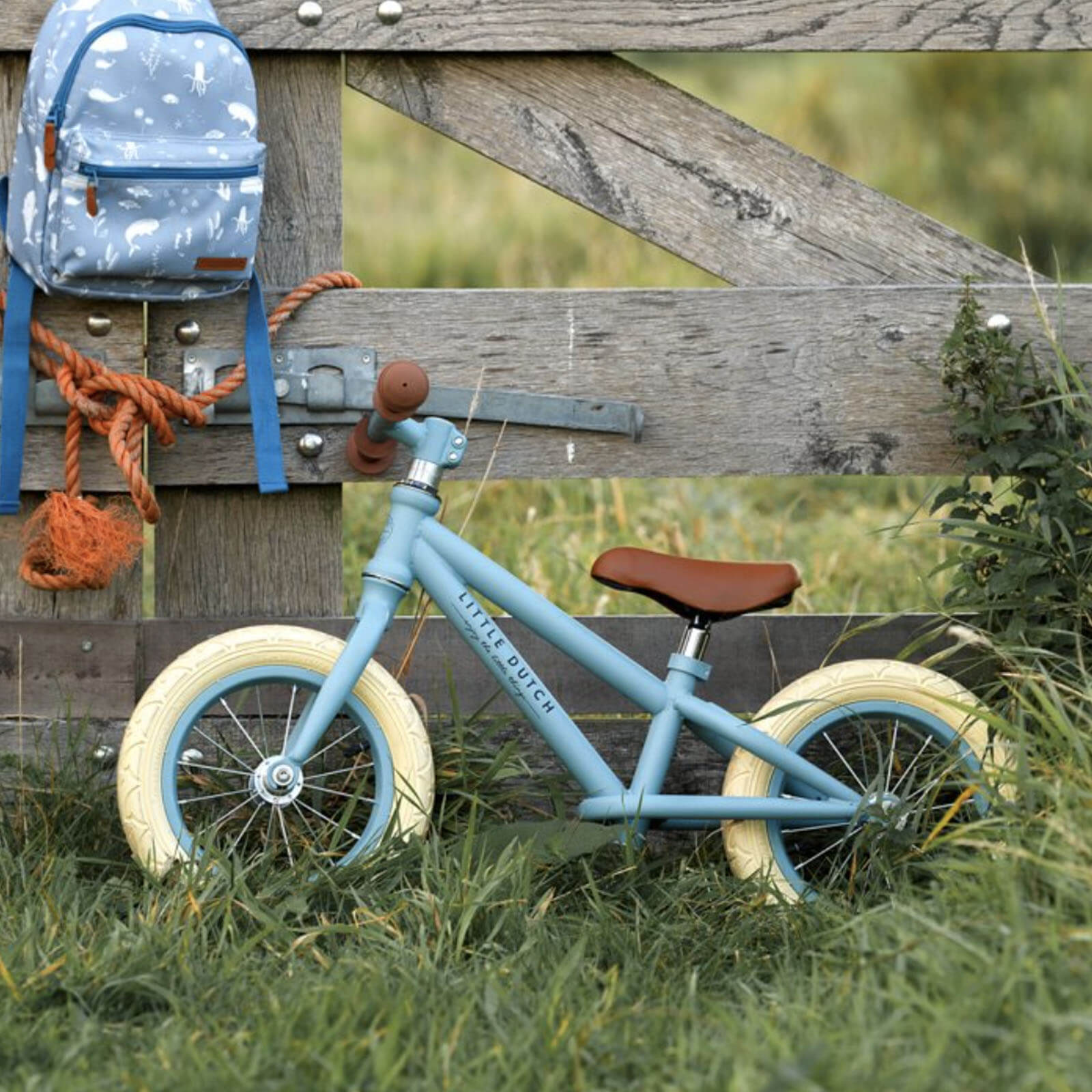Balance Bike - Matte Blue