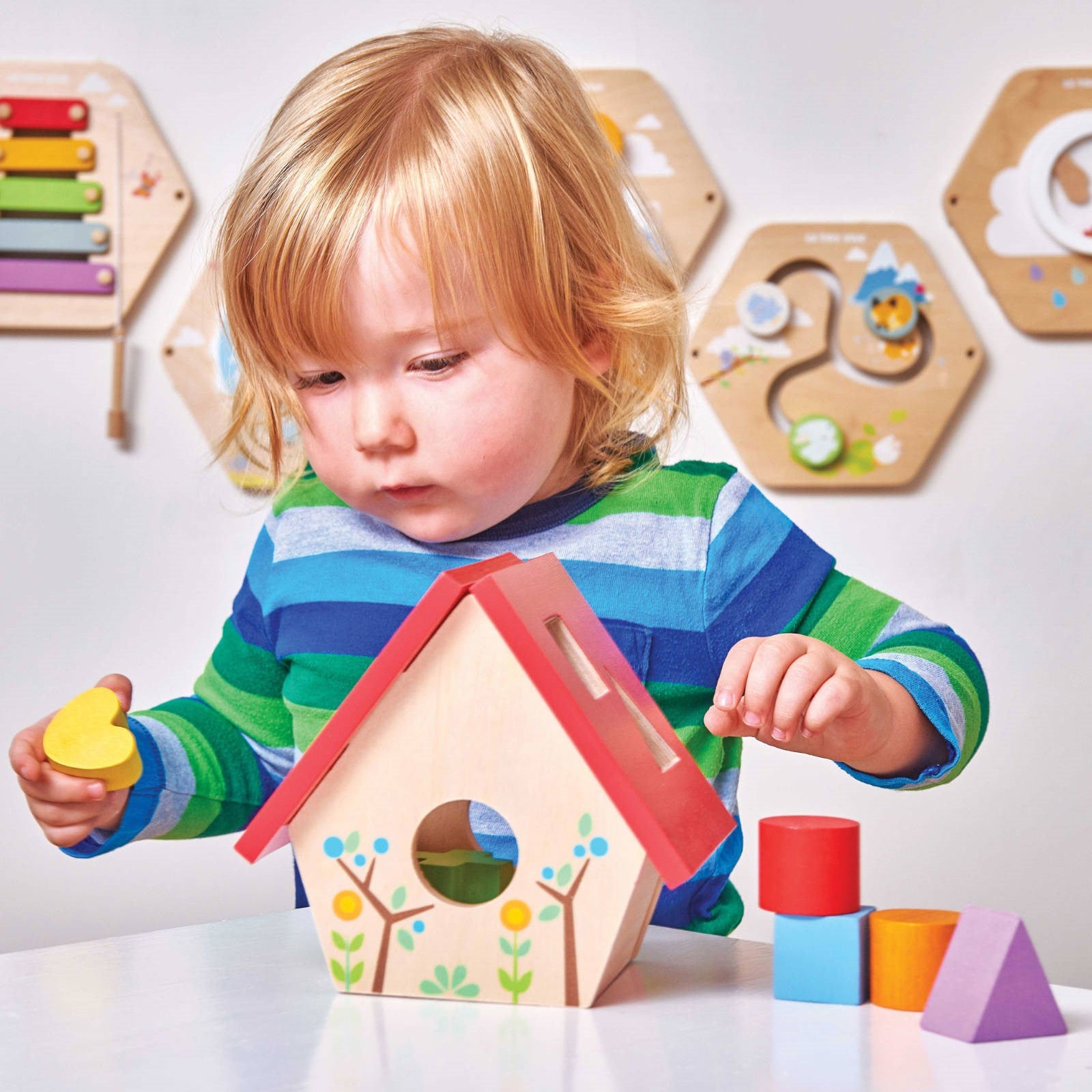 My Little Bird House Shape Sorter