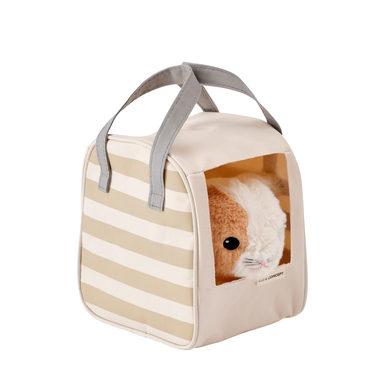 Cat and Carrier Bag