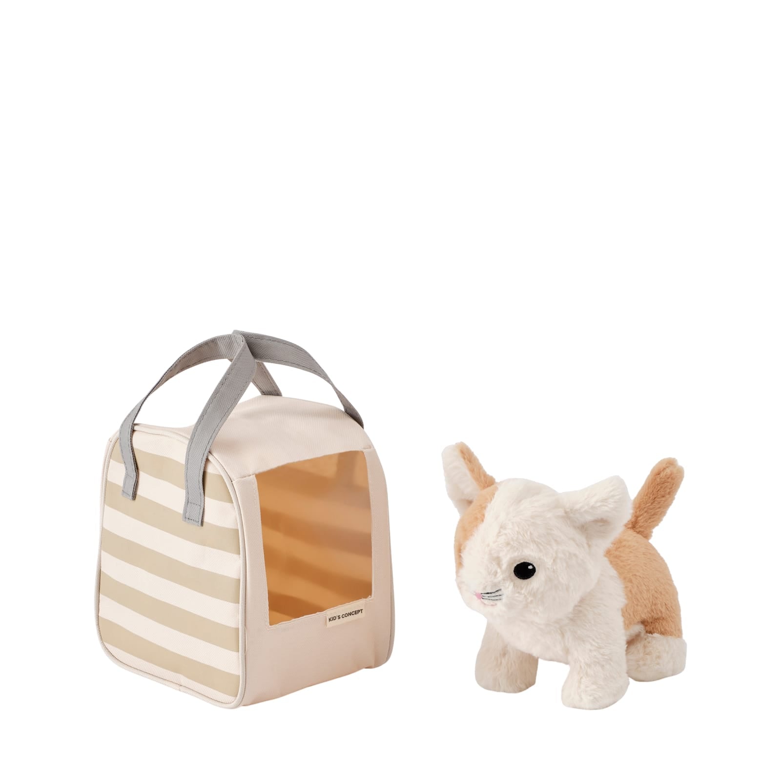 Cat and Carrier Bag