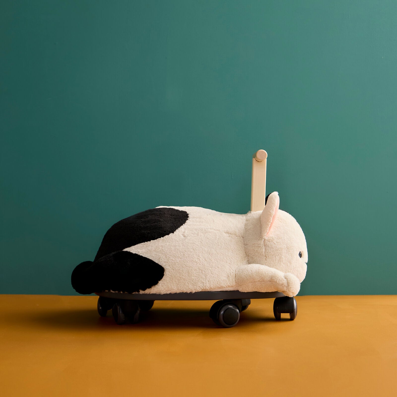 Ride Along Sture The Cat