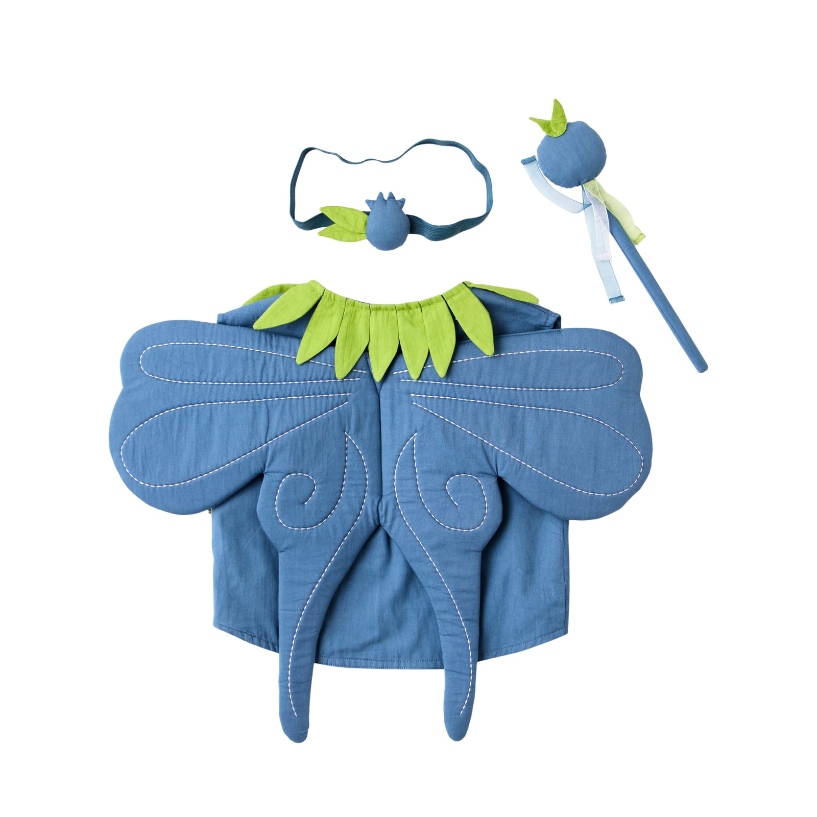 Blueberry Fairy Dress Up