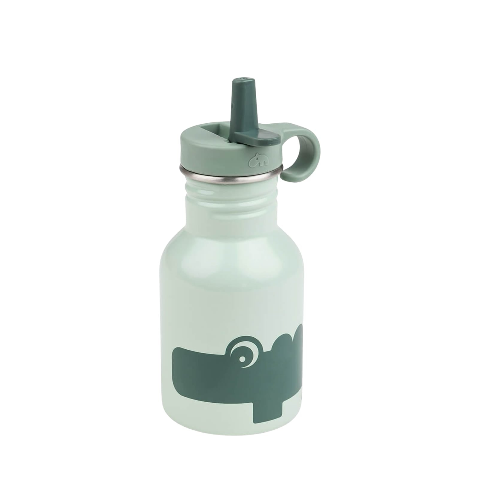 Water Bottle 350ml - Croco Green