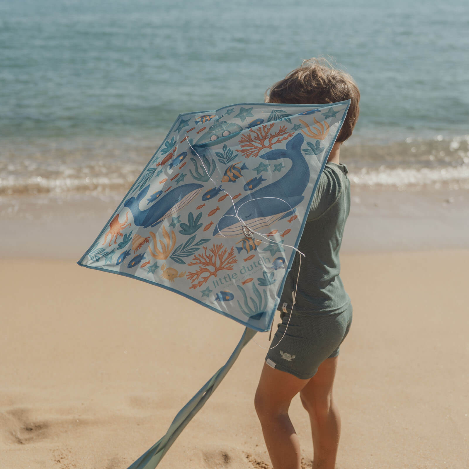 Kite - Ocean World Diamond