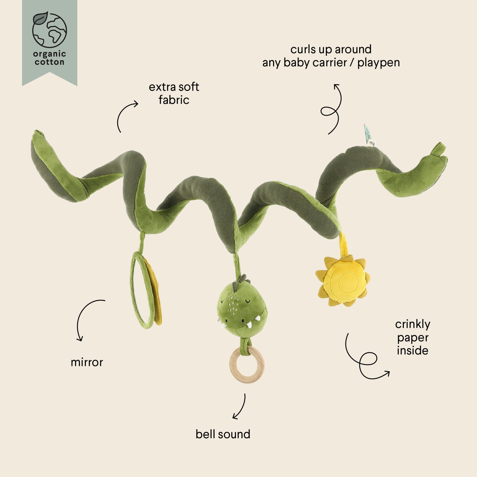 Activity Spiral - Mr Dino