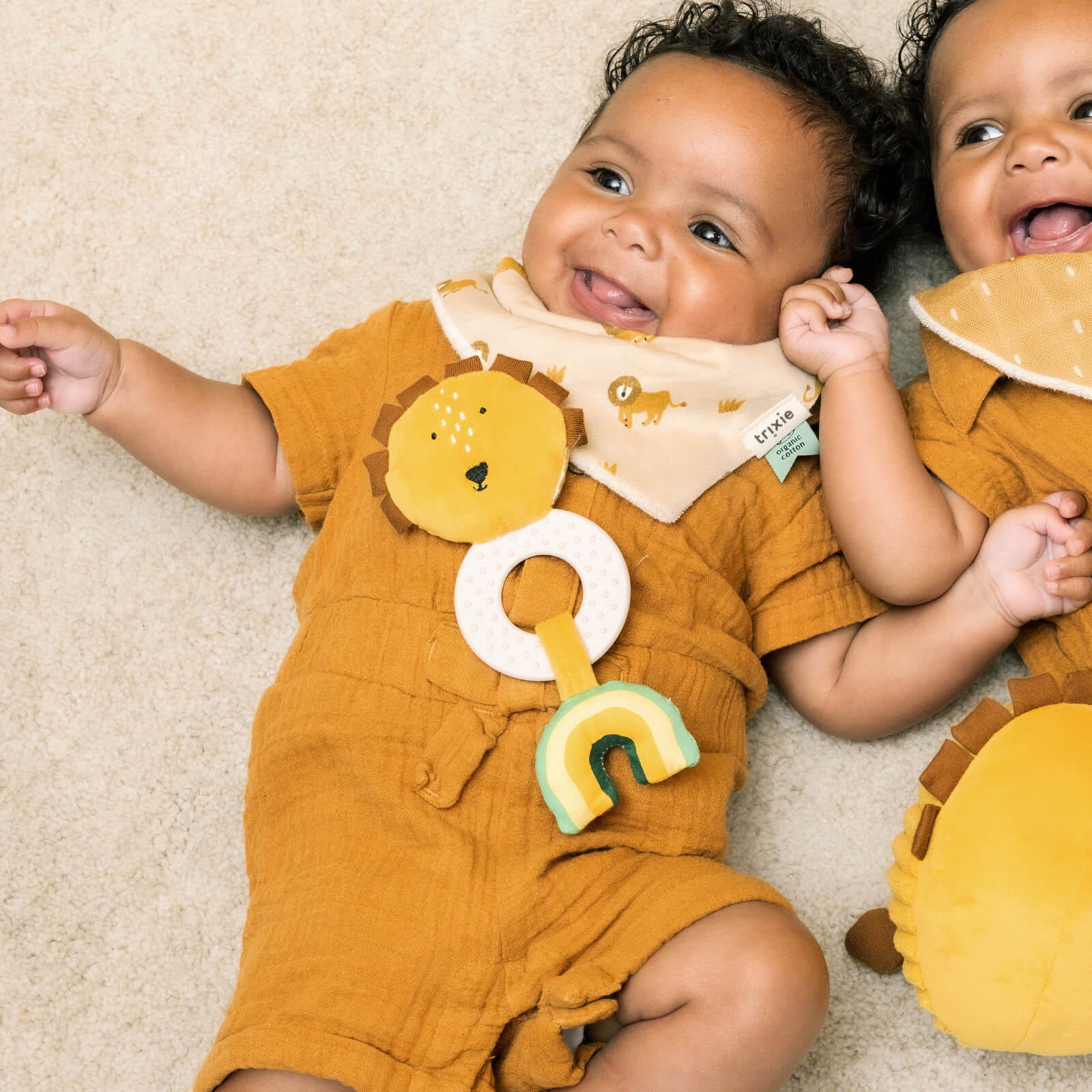 Teething Toy - Mr Lion