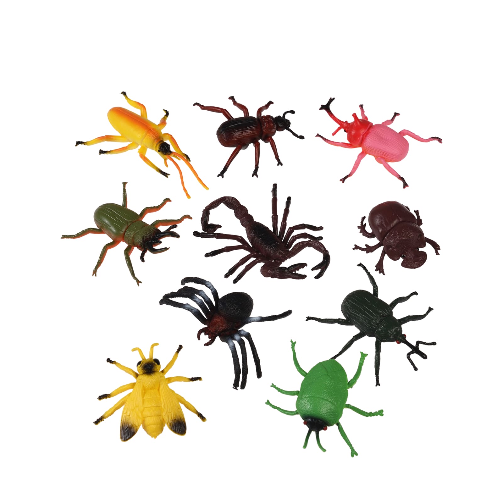 Assorted Creepy Crawlies - Box of 10