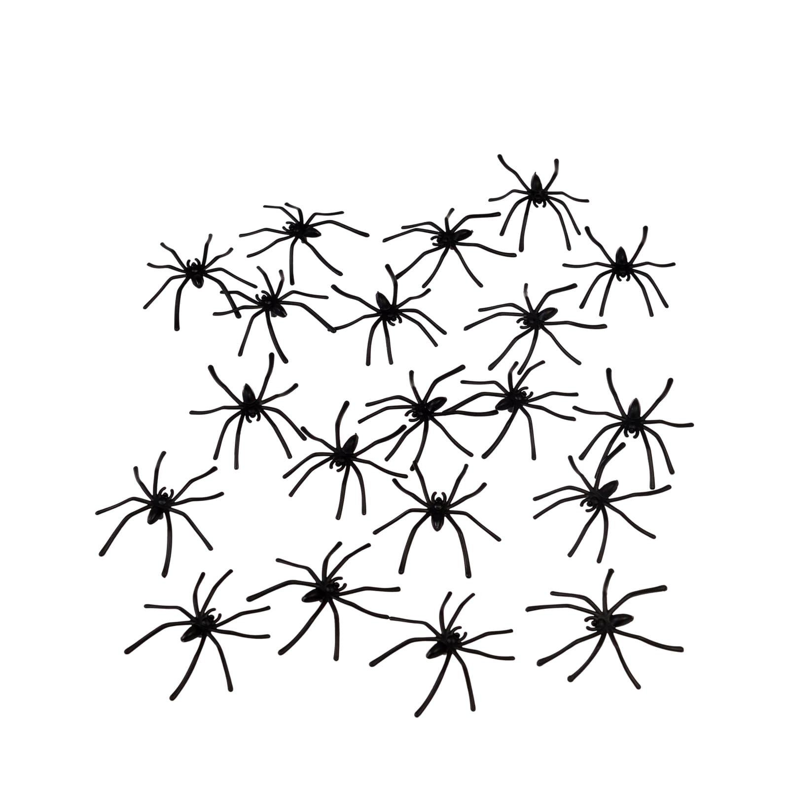 Box of 20 Spiders