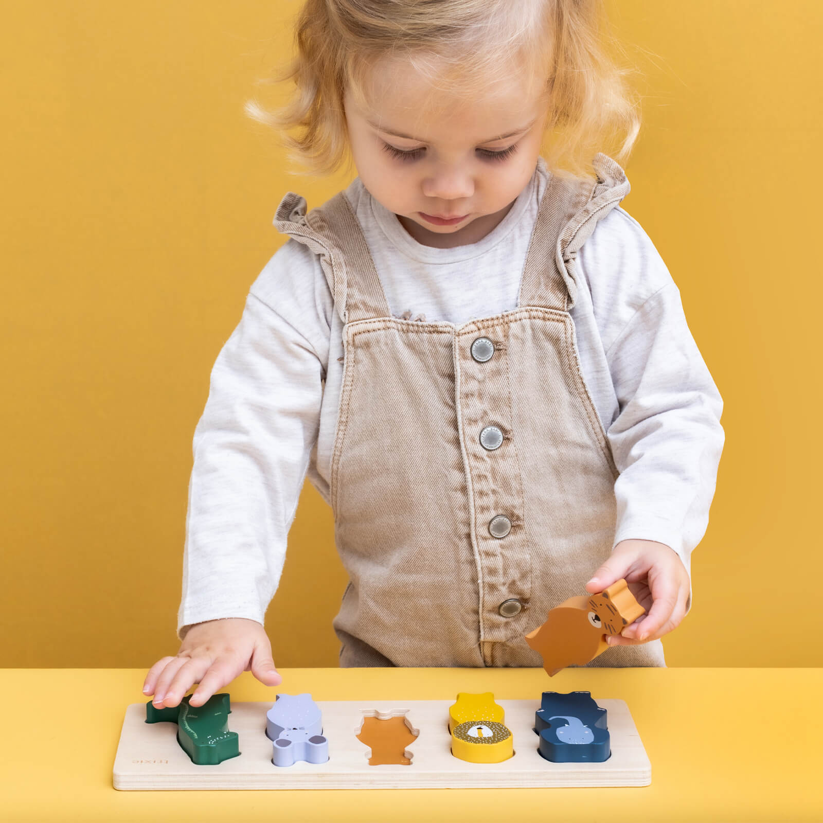 Wooden Shape Puzzle