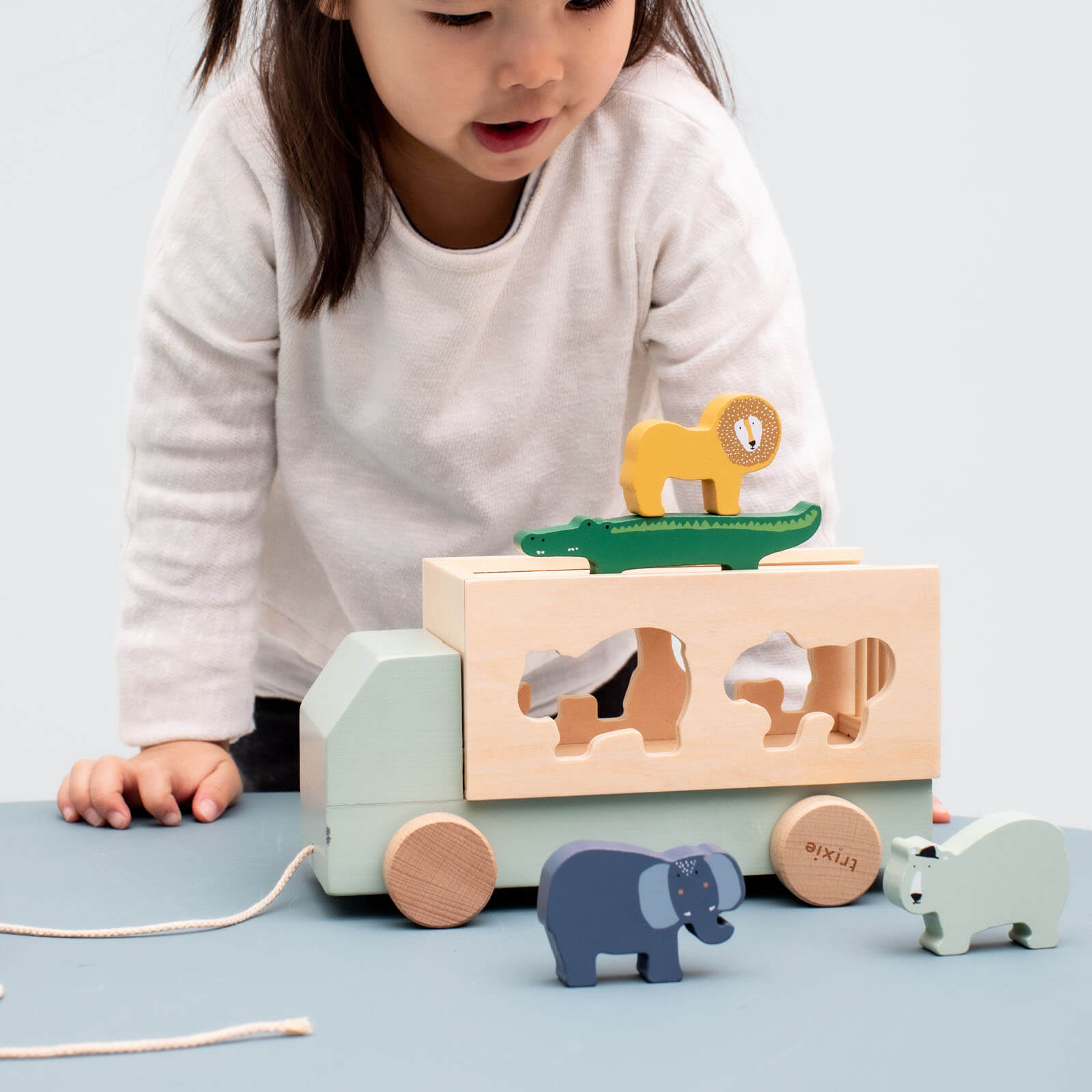 Wooden Animal Sorting Truck