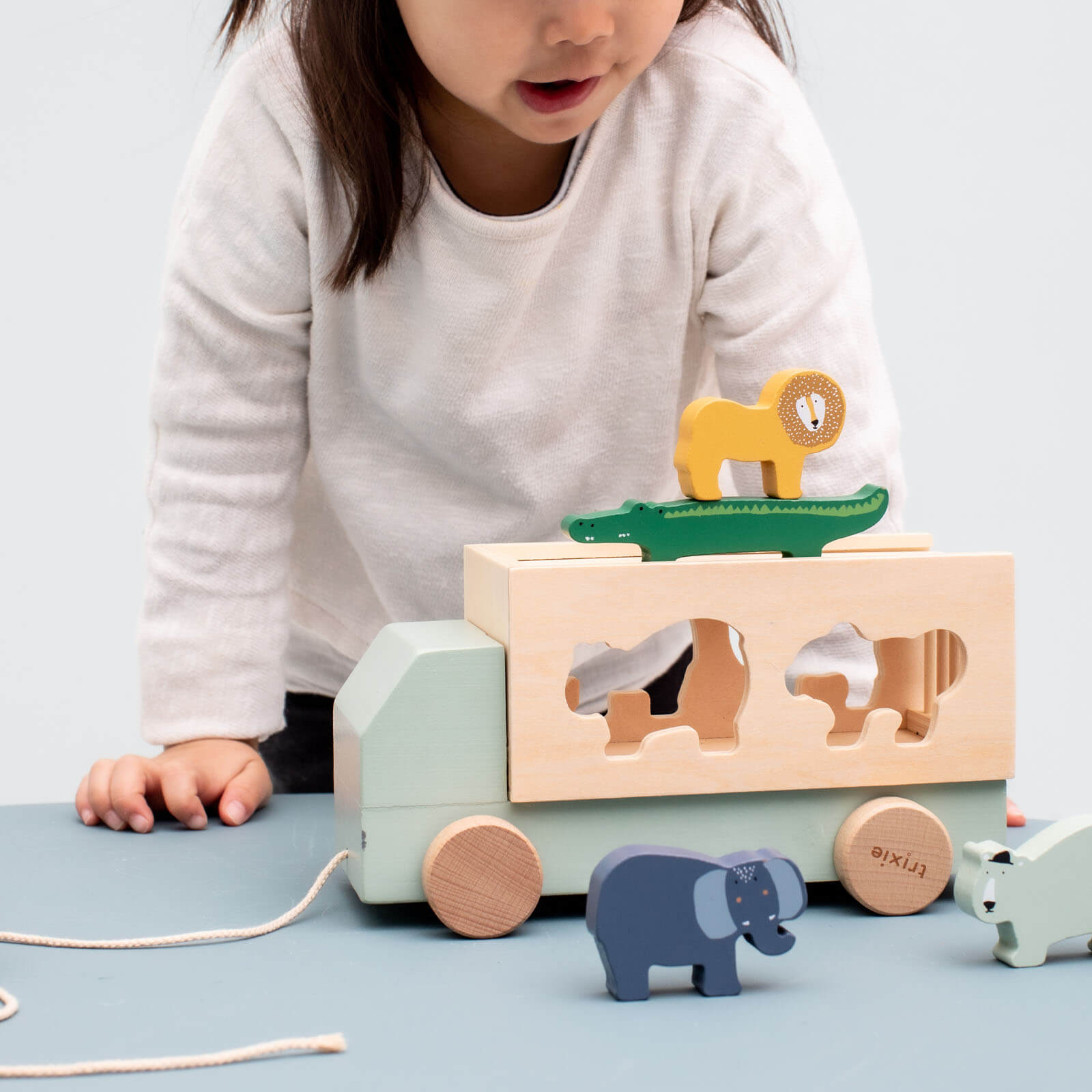 Wooden Animal Sorting Truck