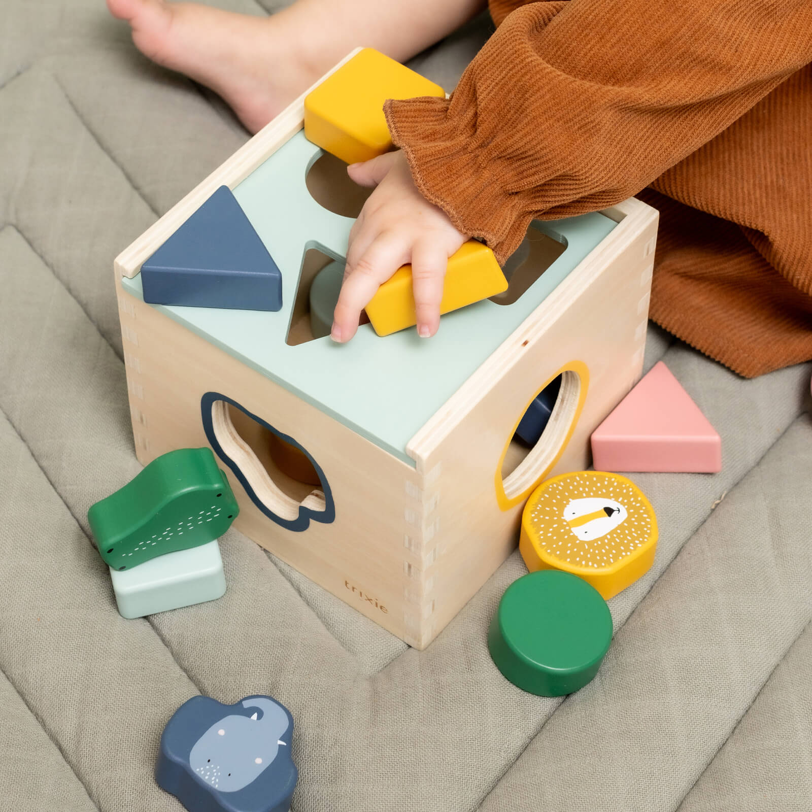 Wooden Shape Sorter