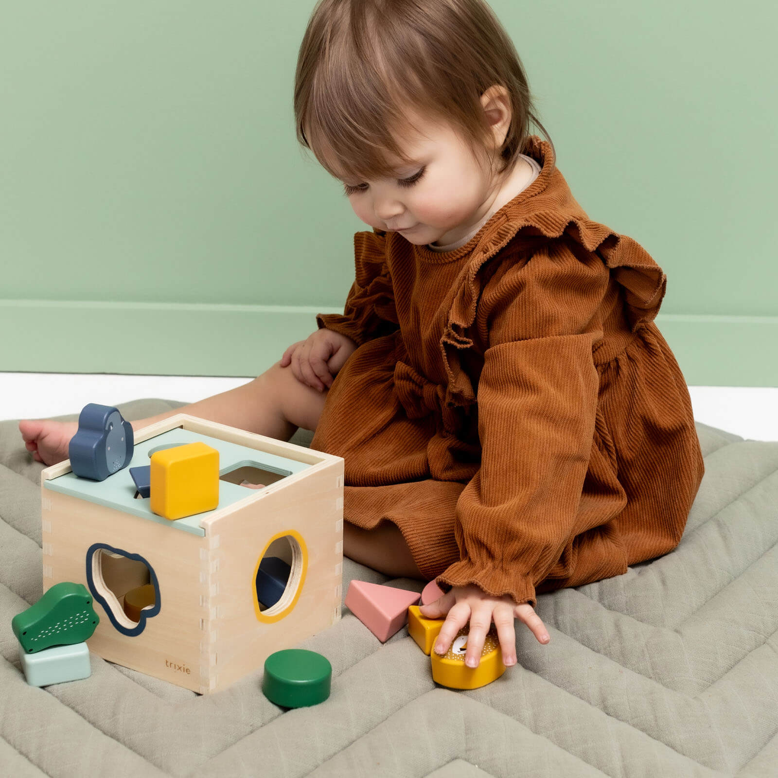 Wooden Shape Sorter