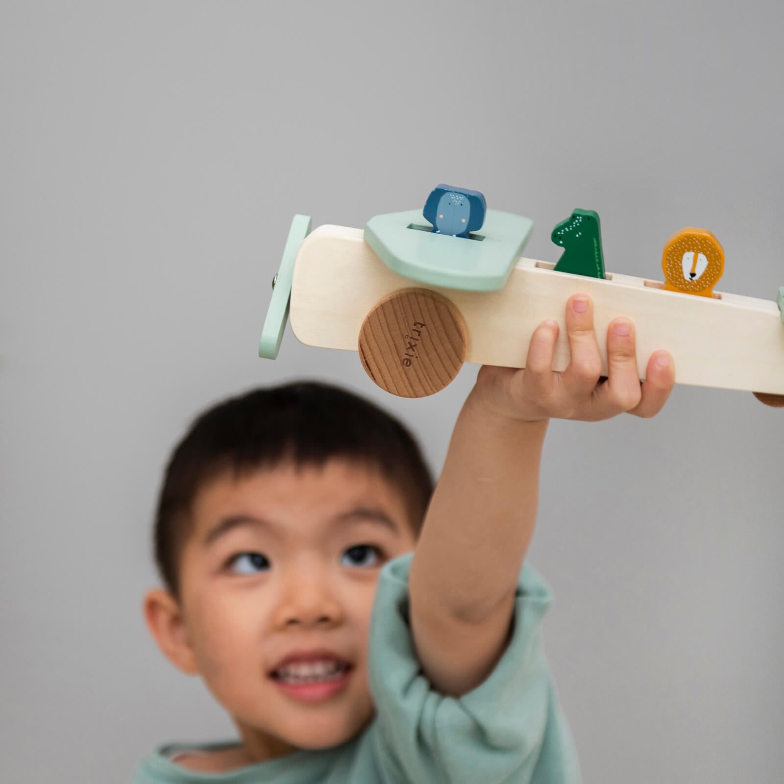 Wooden Animal Airplane