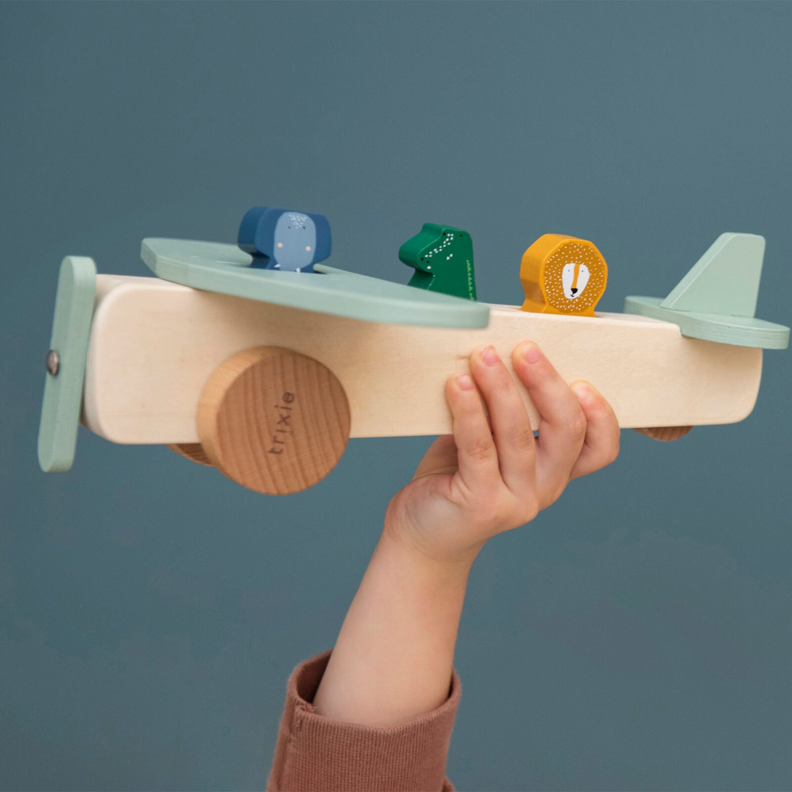 Wooden Animal Airplane