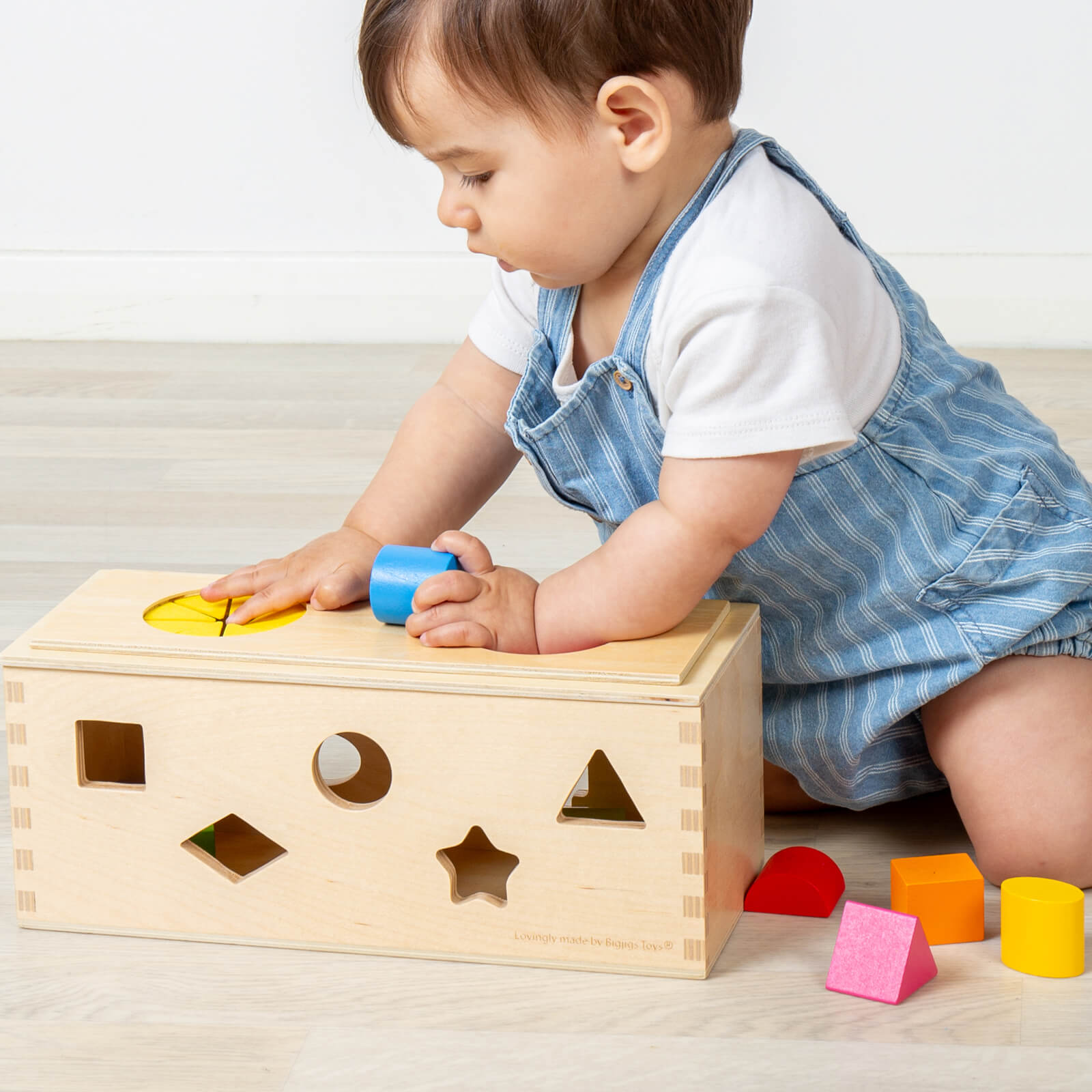 Mystery Shape Sorting Box