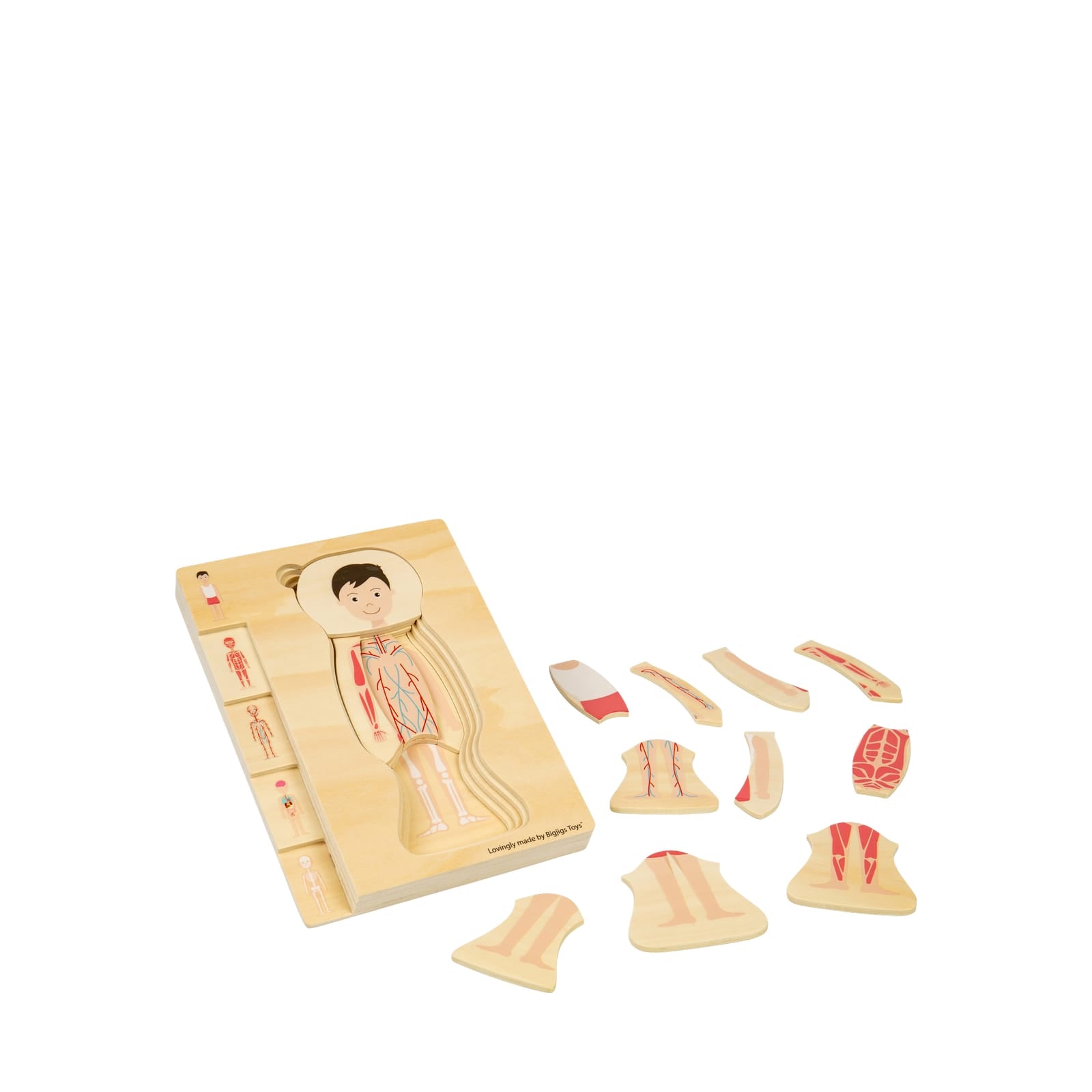 Anatomy Puzzle - Boy