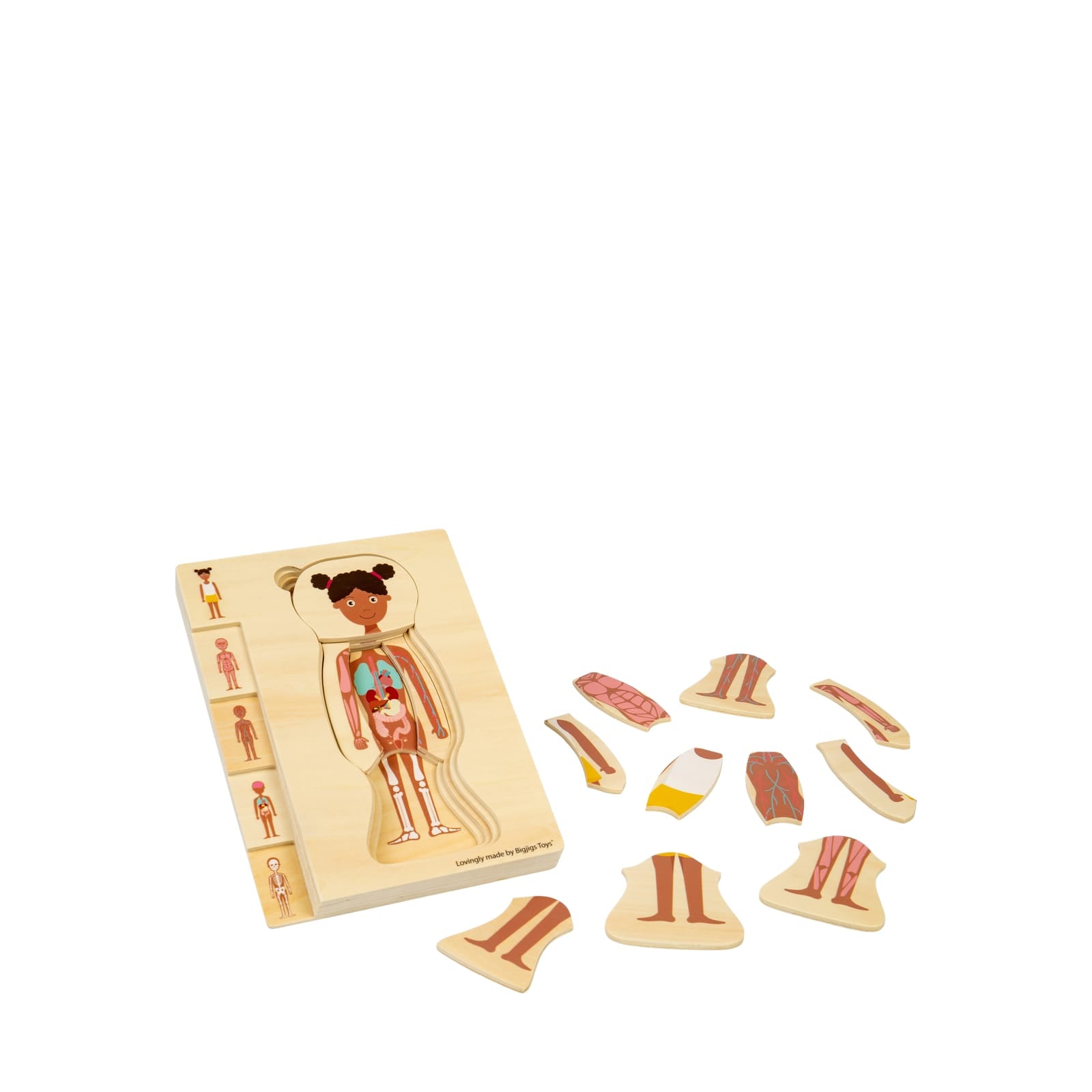 Anatomy Puzzle - Girl
