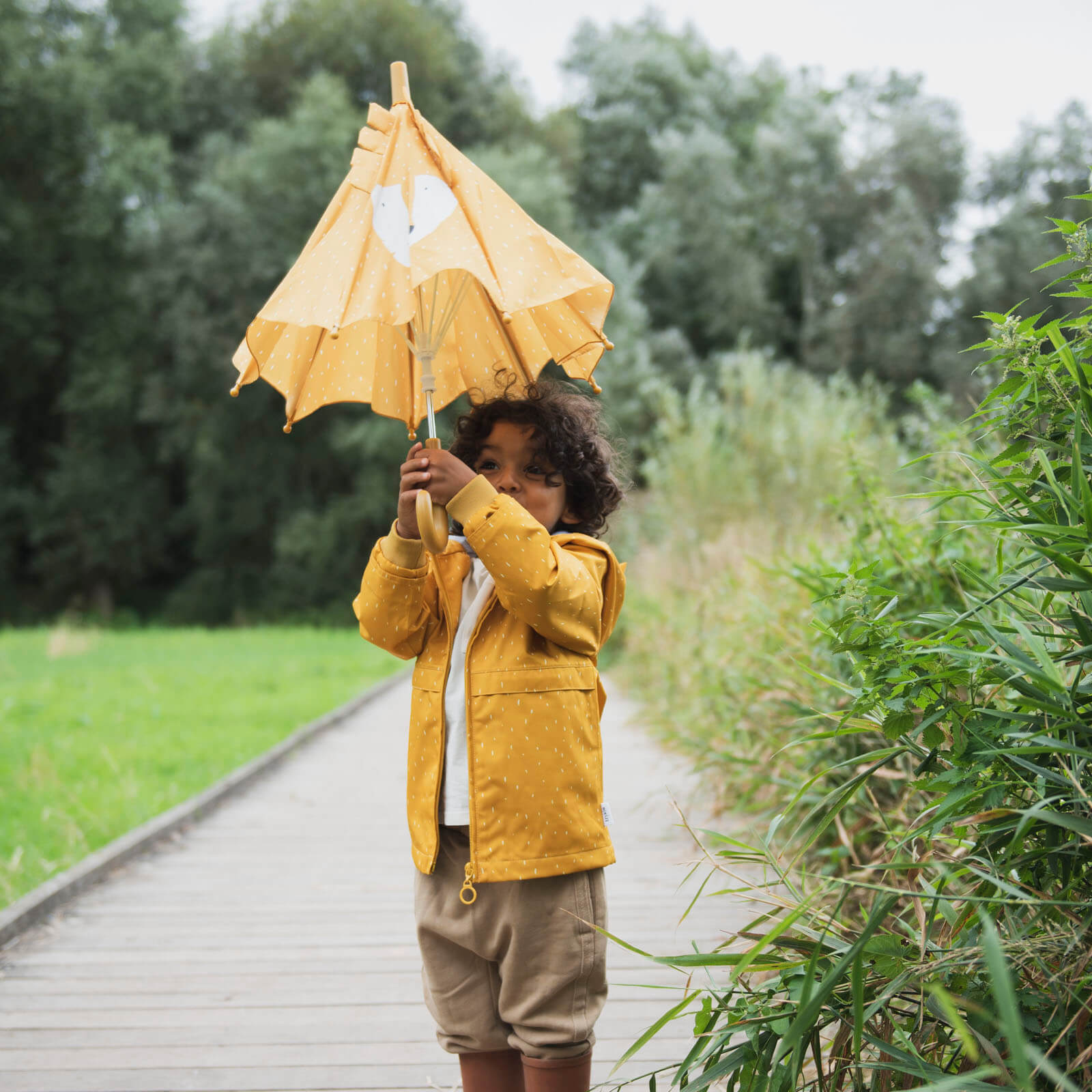 Umbrella - Mr Lion