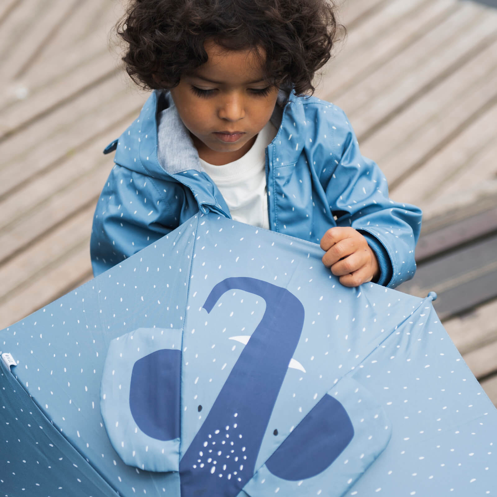 Umbrella - Mrs Elephant