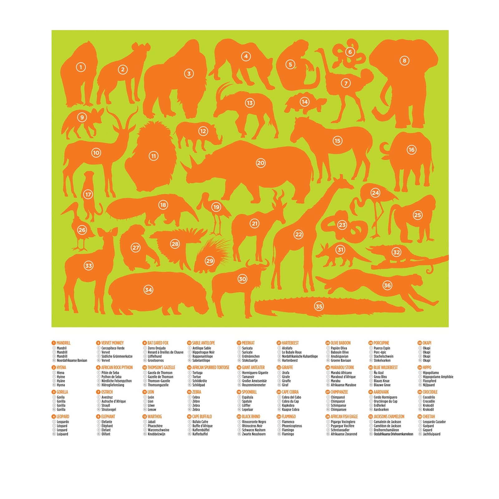 36 Wild Animals - 100 Piece Puzzle