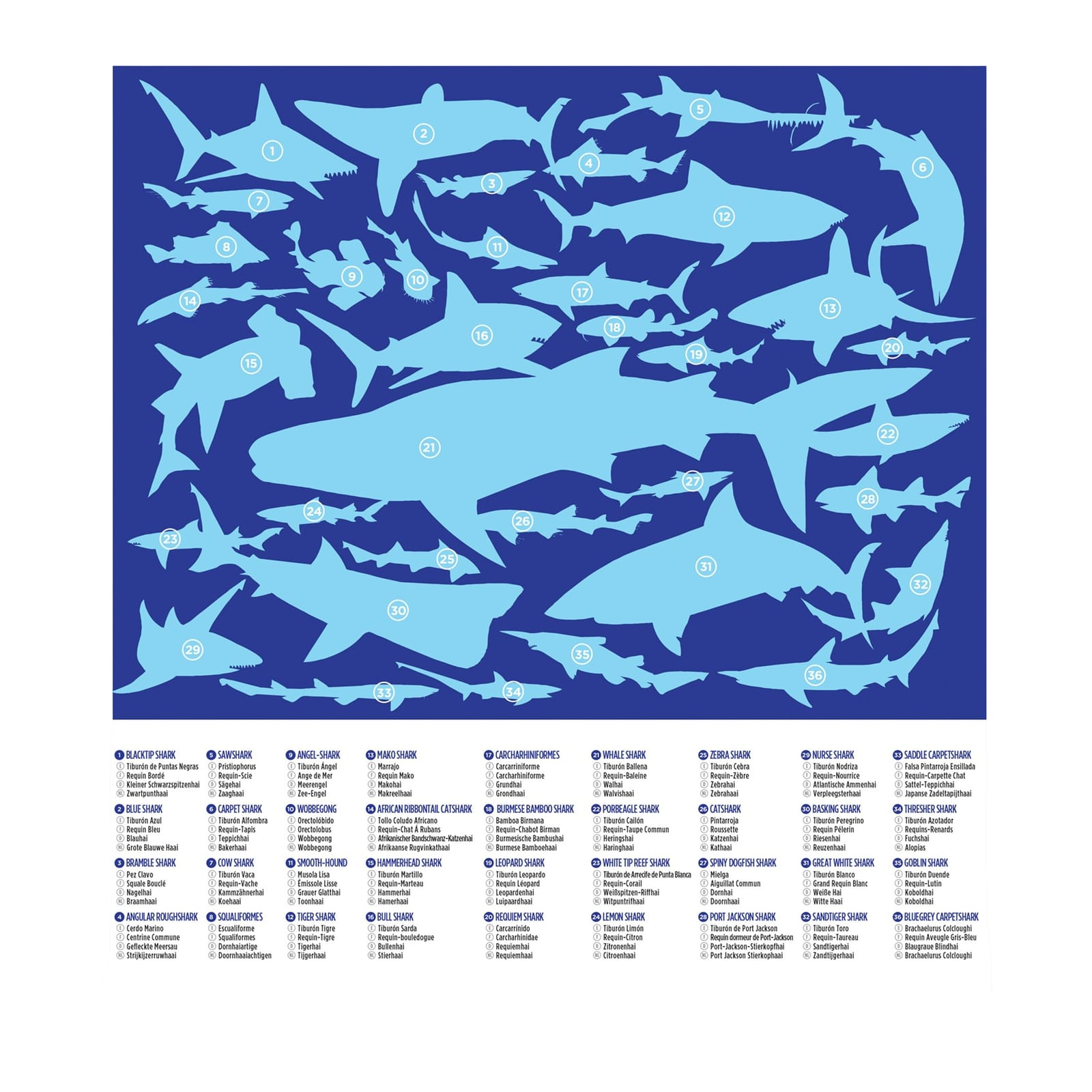 36 Sharks - 100 Piece Puzzle