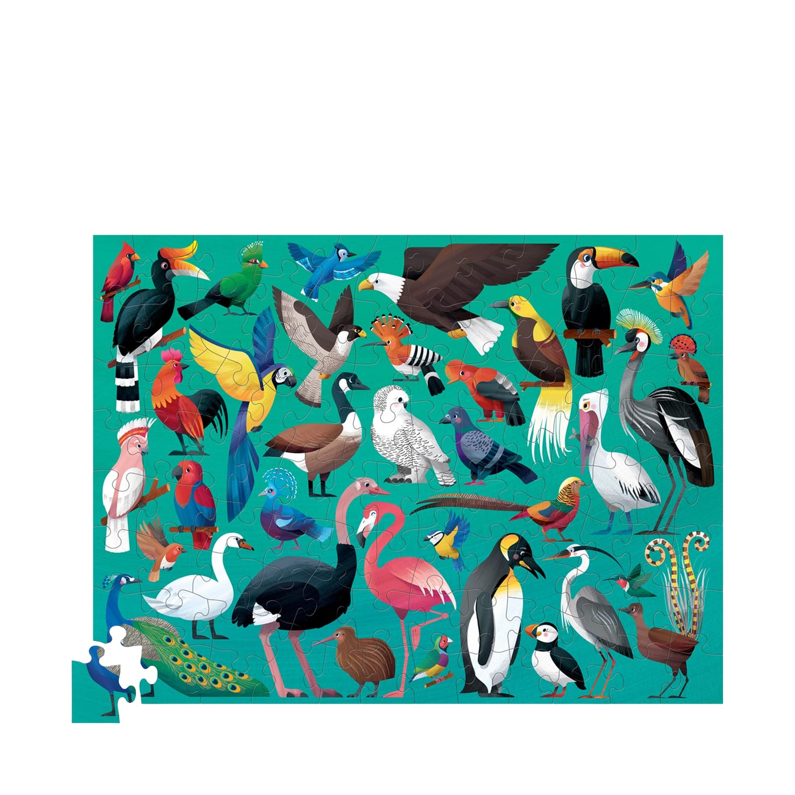 36 Beautiful Birds - 100 Piece Puzzle