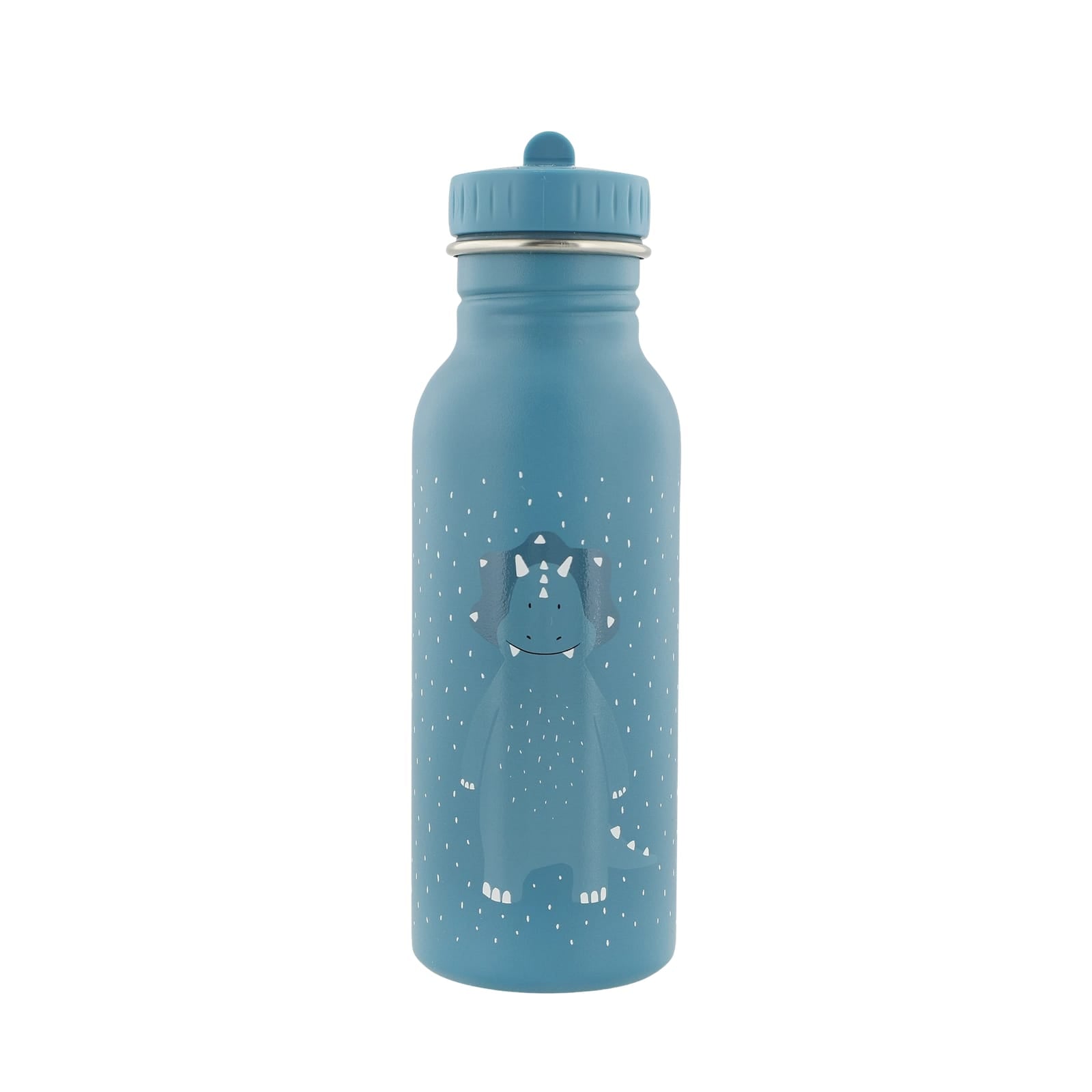 Water Bottle 500ml - Mr Triceratops