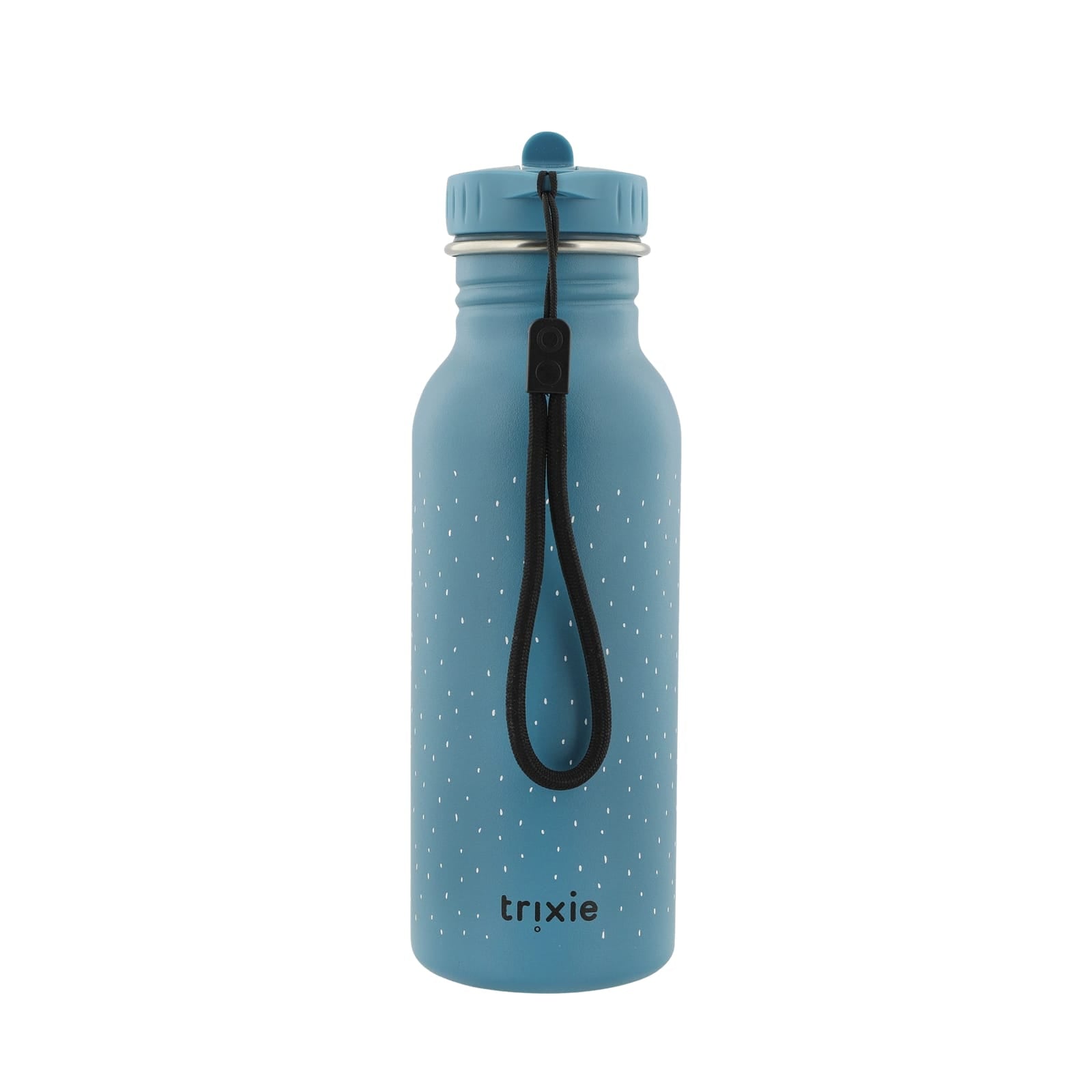Water Bottle 500ml - Mr Triceratops