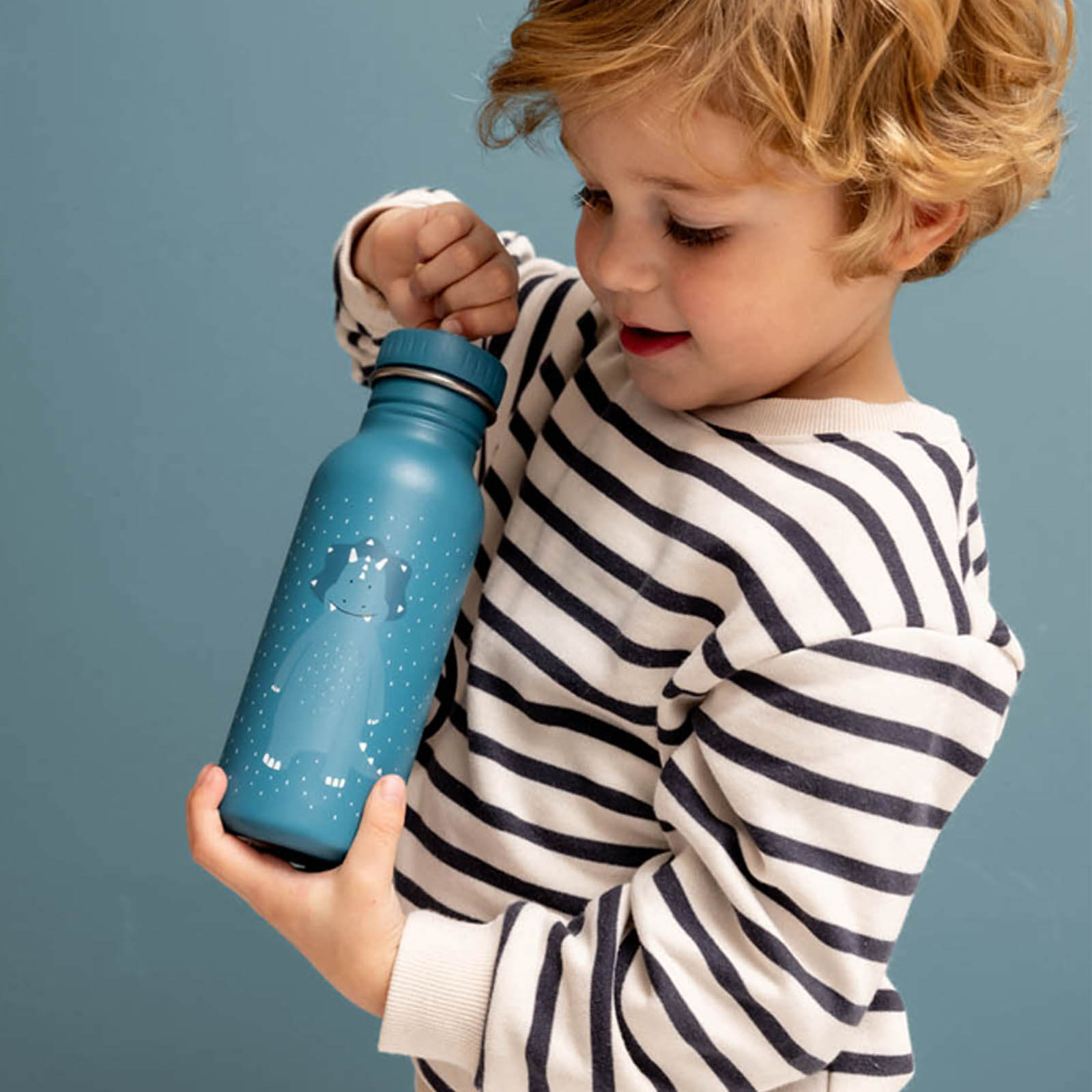 Water Bottle 500ml - Mr Triceratops