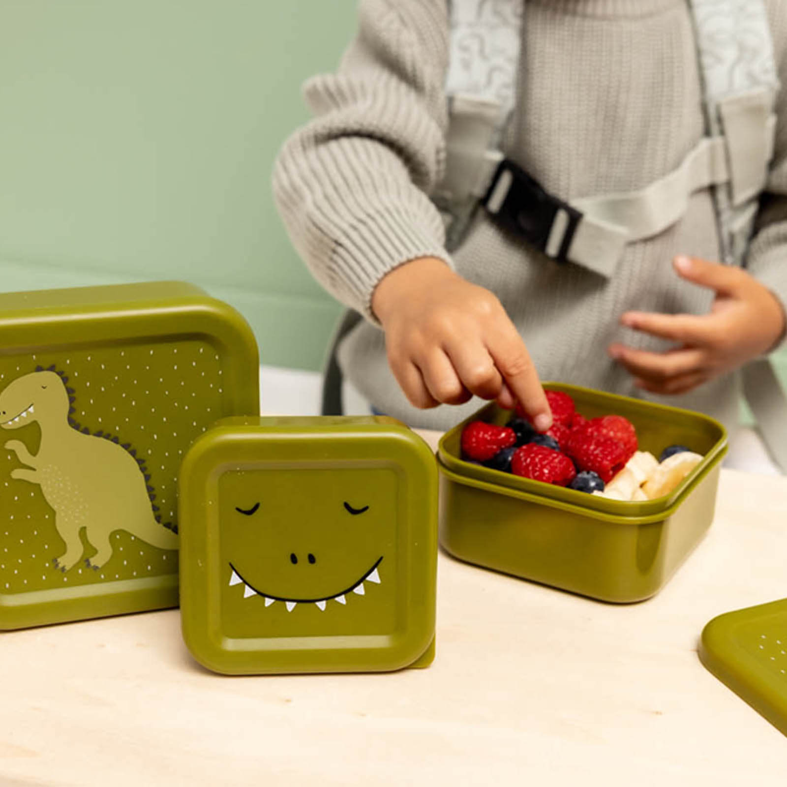 Nesting Snack boxes 3 Pieces - Mr Dino