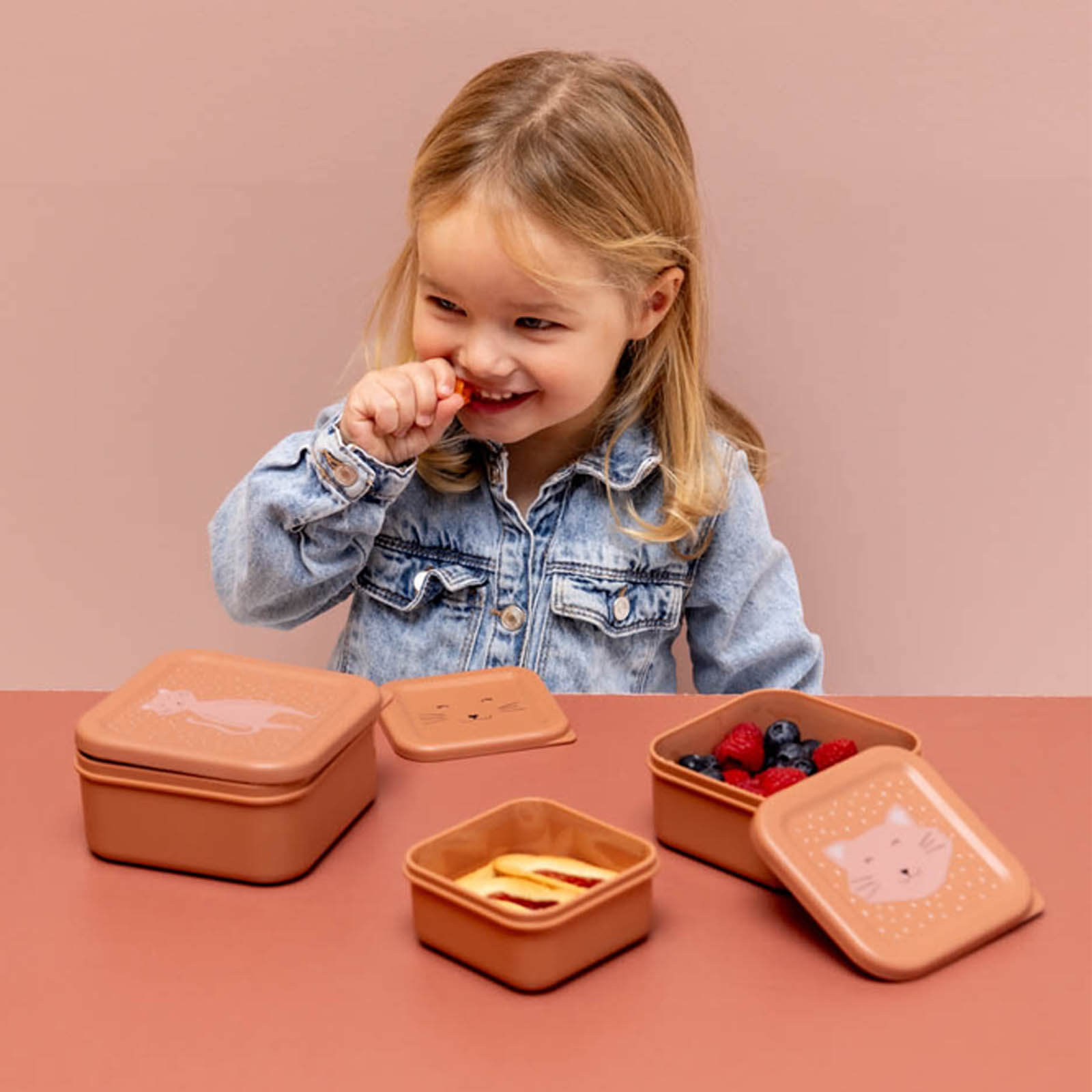 Nesting Snack boxes 3 Pieces - Mrs Cat