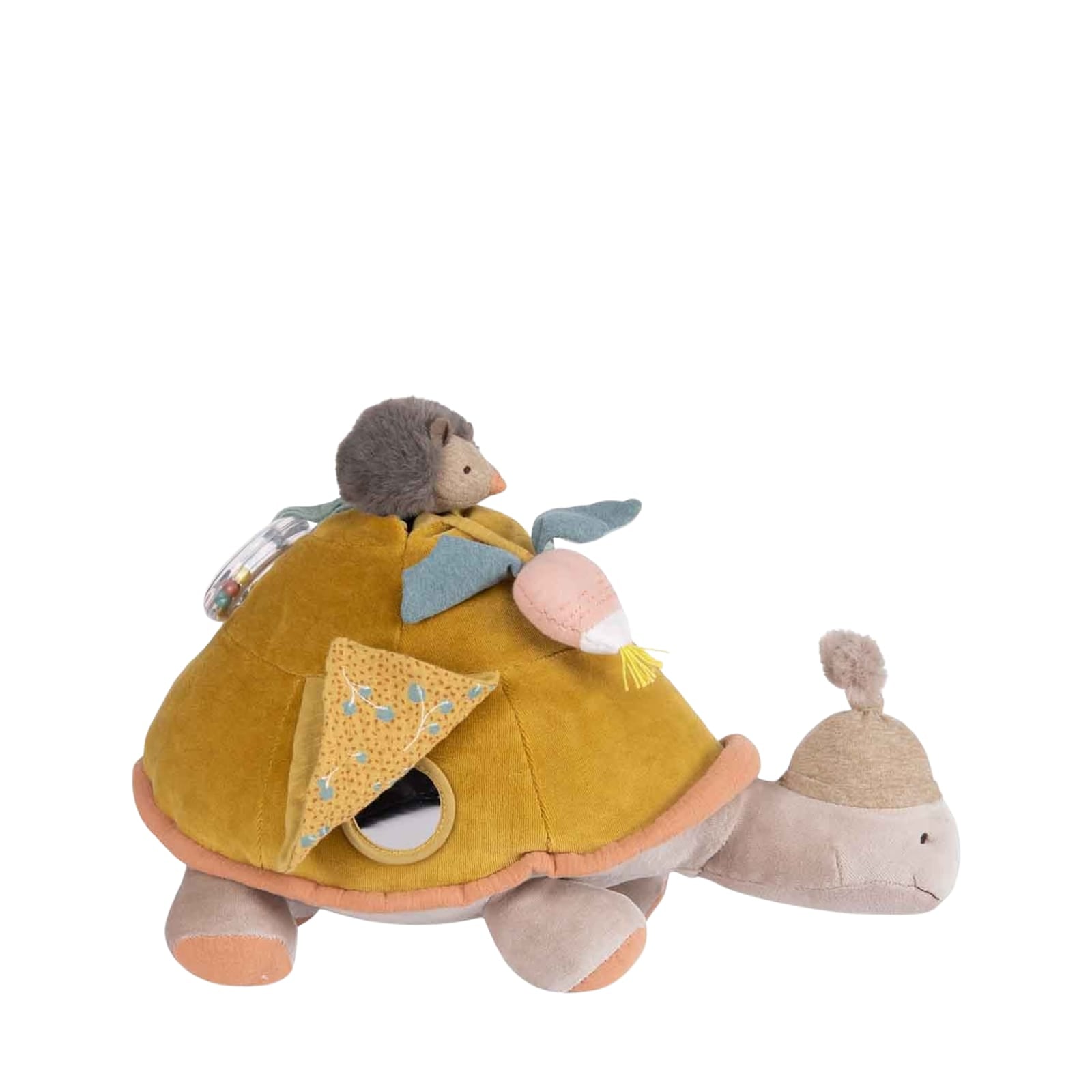 Large Activity Turtle
