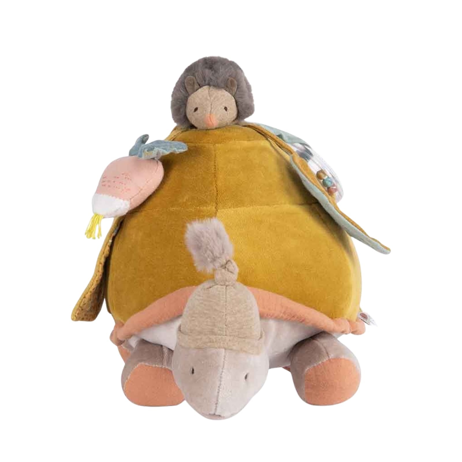 Large Activity Turtle