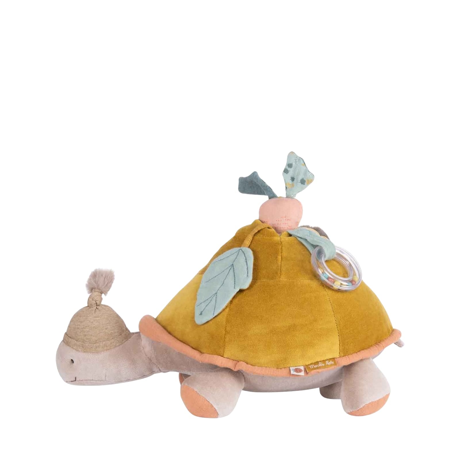 Large Activity Turtle