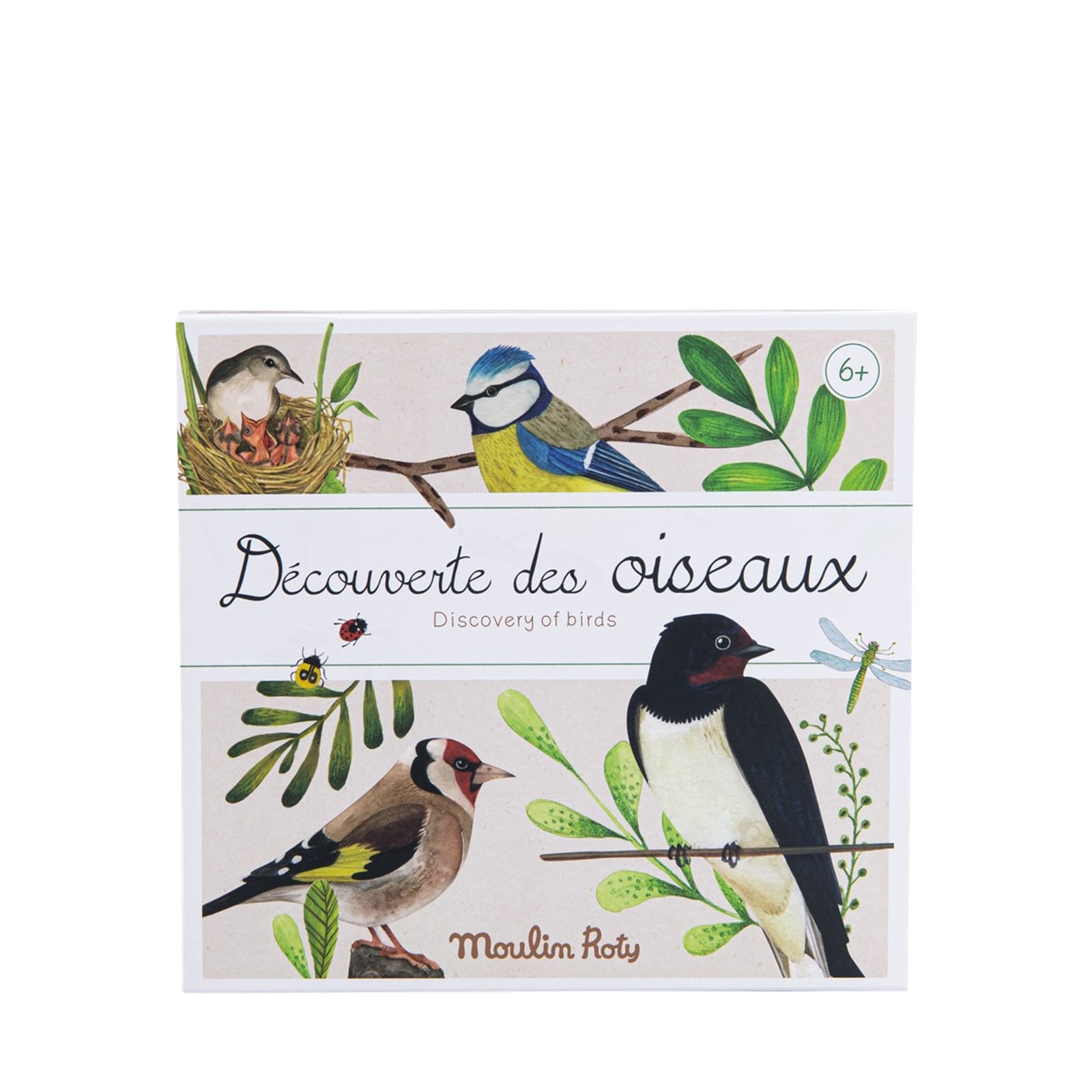 Discovery Box - Birds
