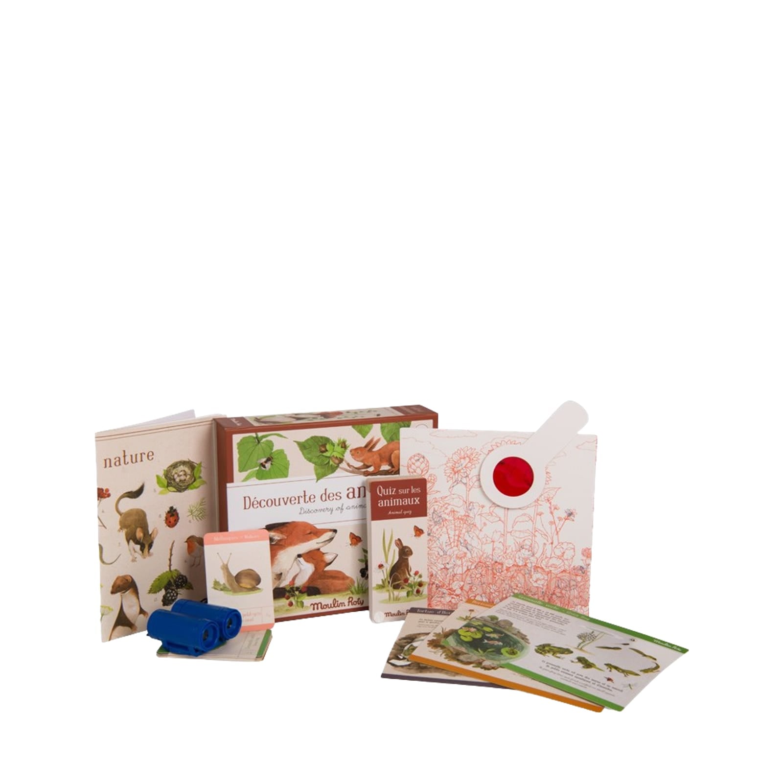 Discovery Box - Animals