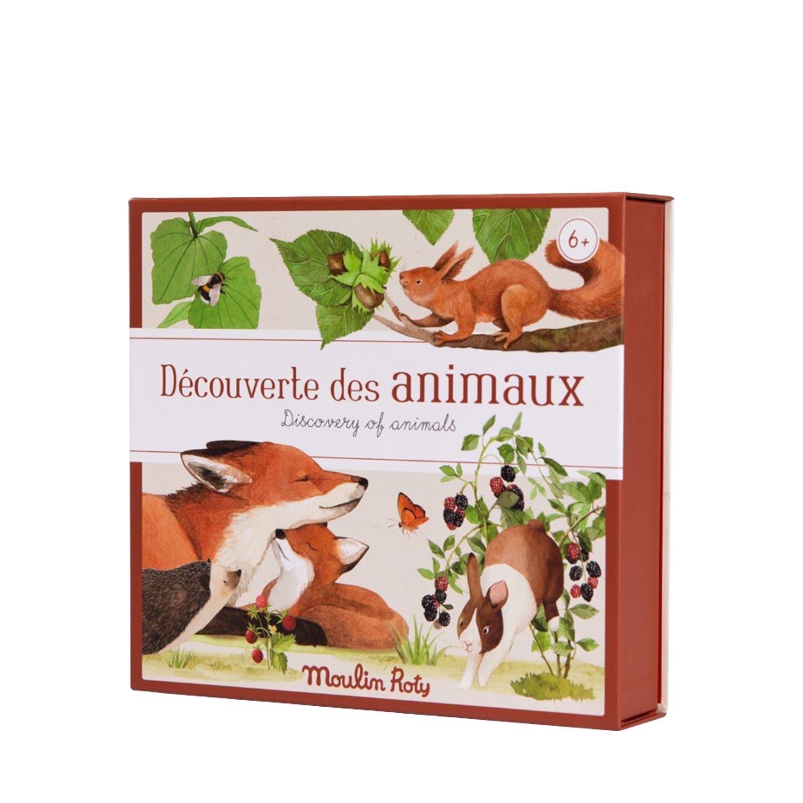 Discovery Box - Animals