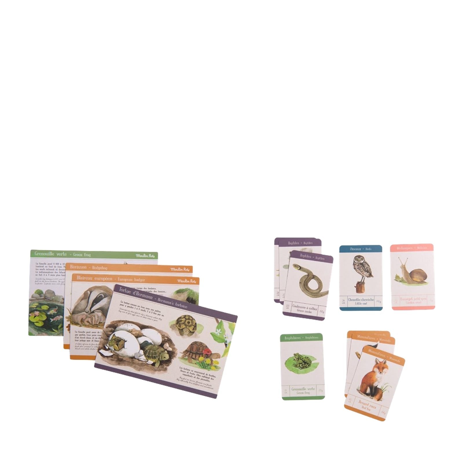 Discovery Box - Animals