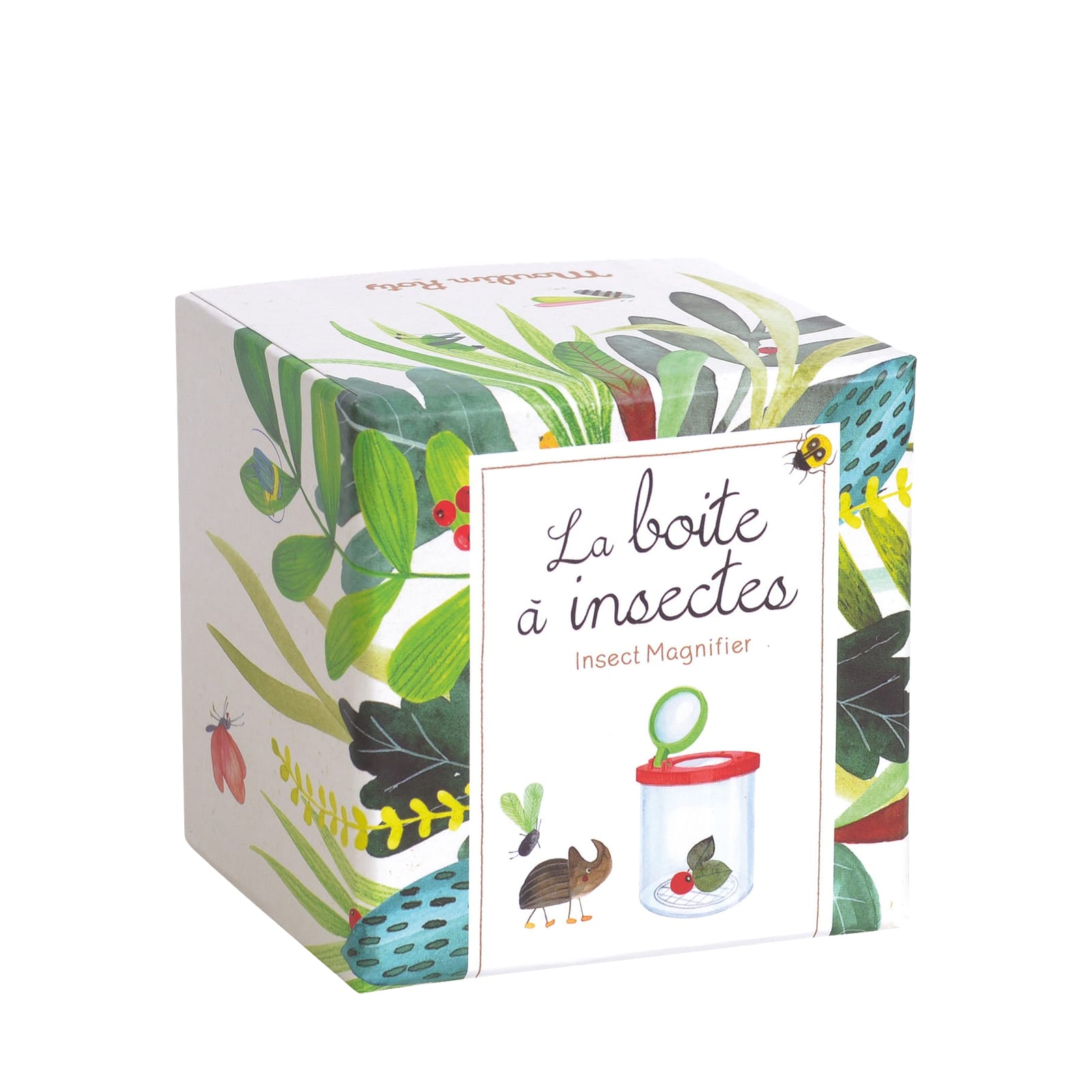 Insect Magnifier Box