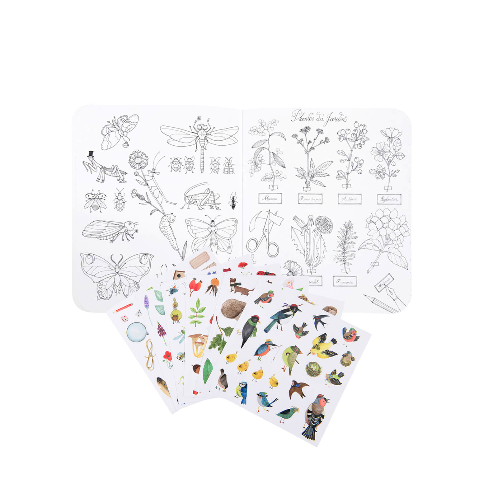 Colouring Book and 148 Stickers - The Botanist