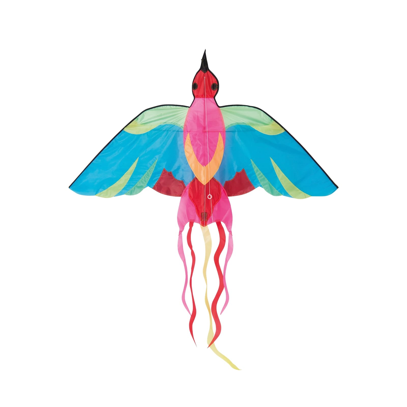 Kite - Bright Bird