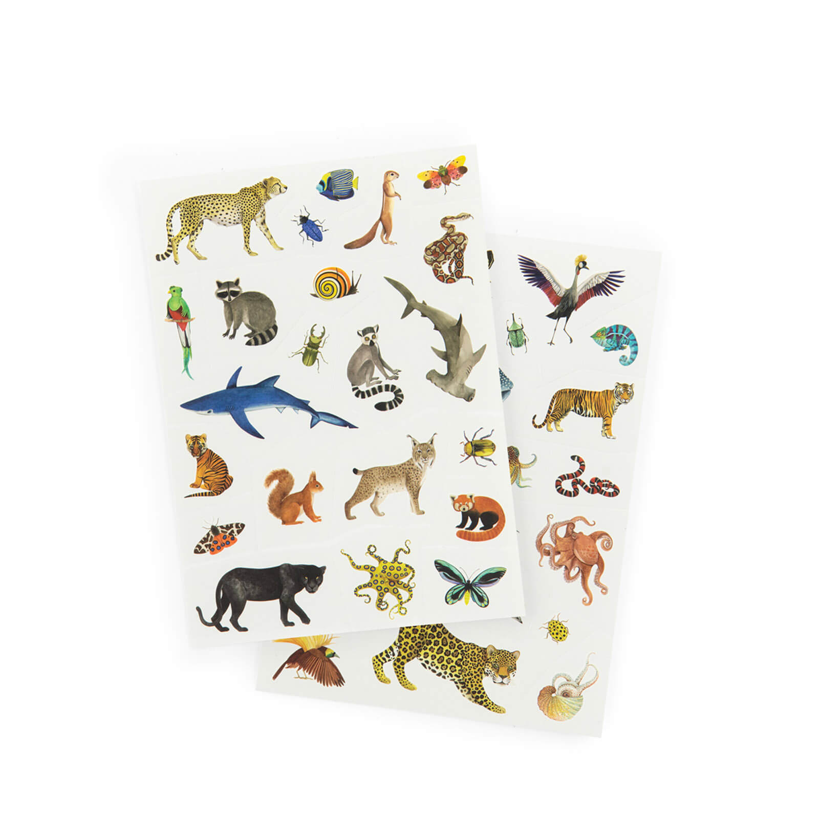 Temporary Tattoos - Fantasy Creatures