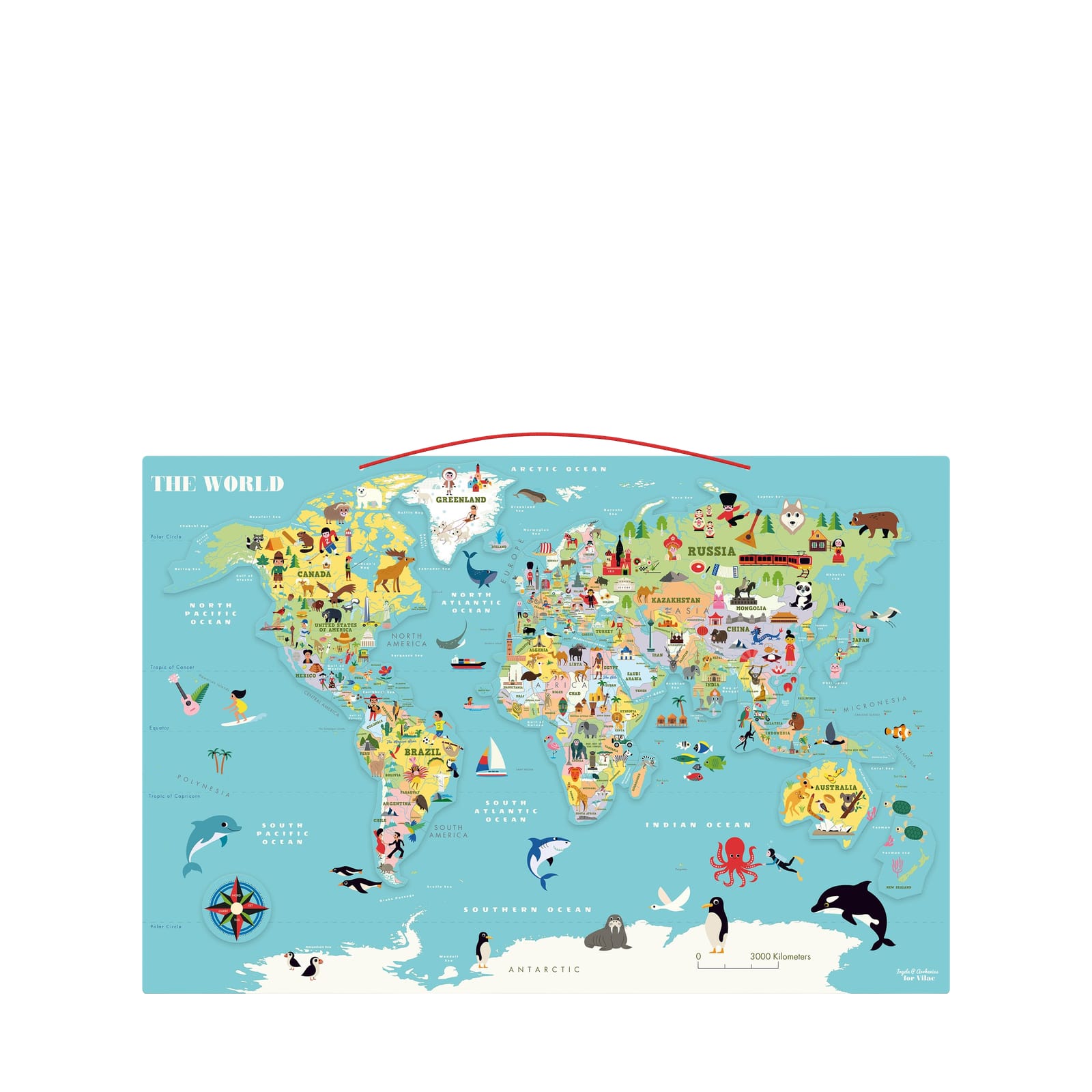 World Magnetic Map