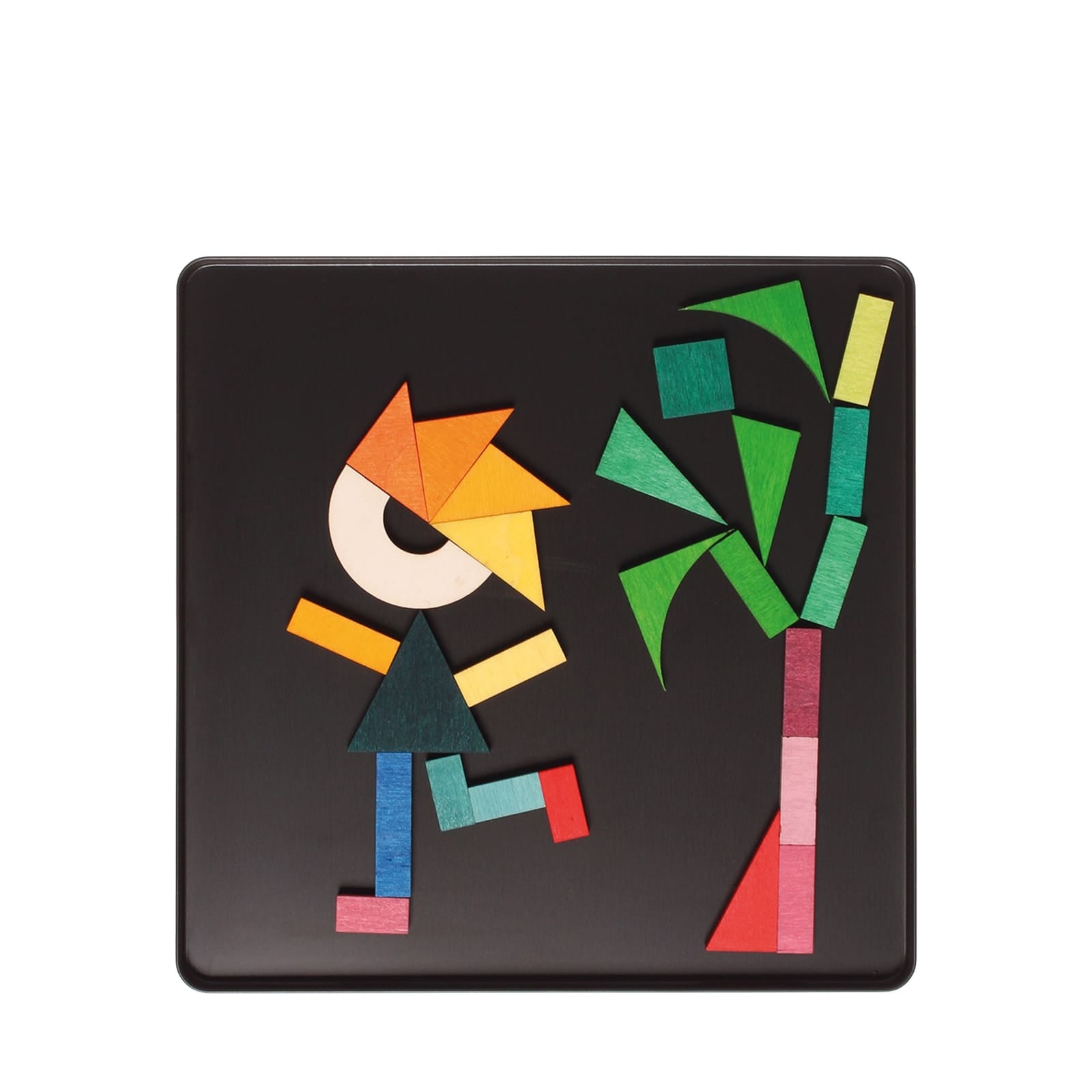 Magnet Puzzle - Geo Graphical