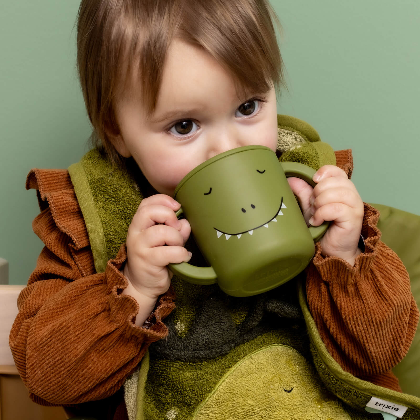 Silicone Sippy Cup - Mr Dino