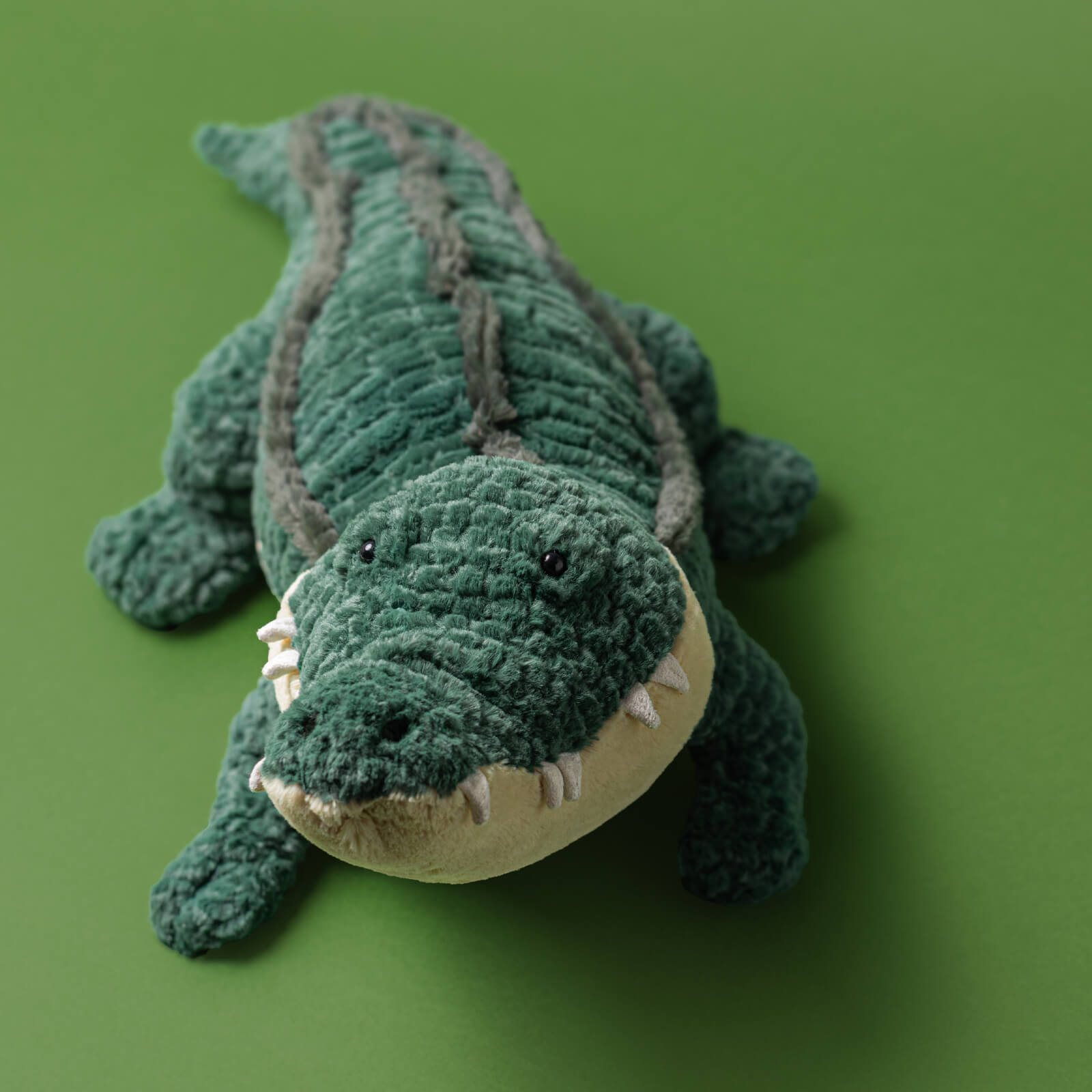 Allexi Alligator
