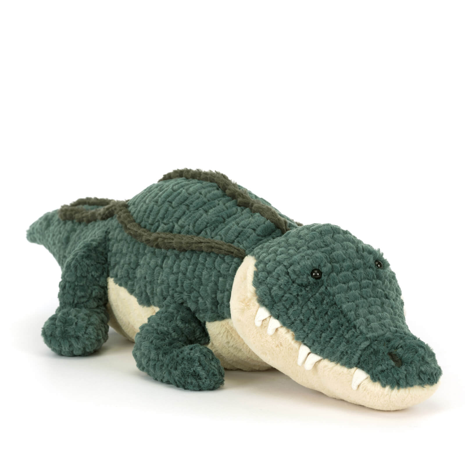 Allexi Alligator