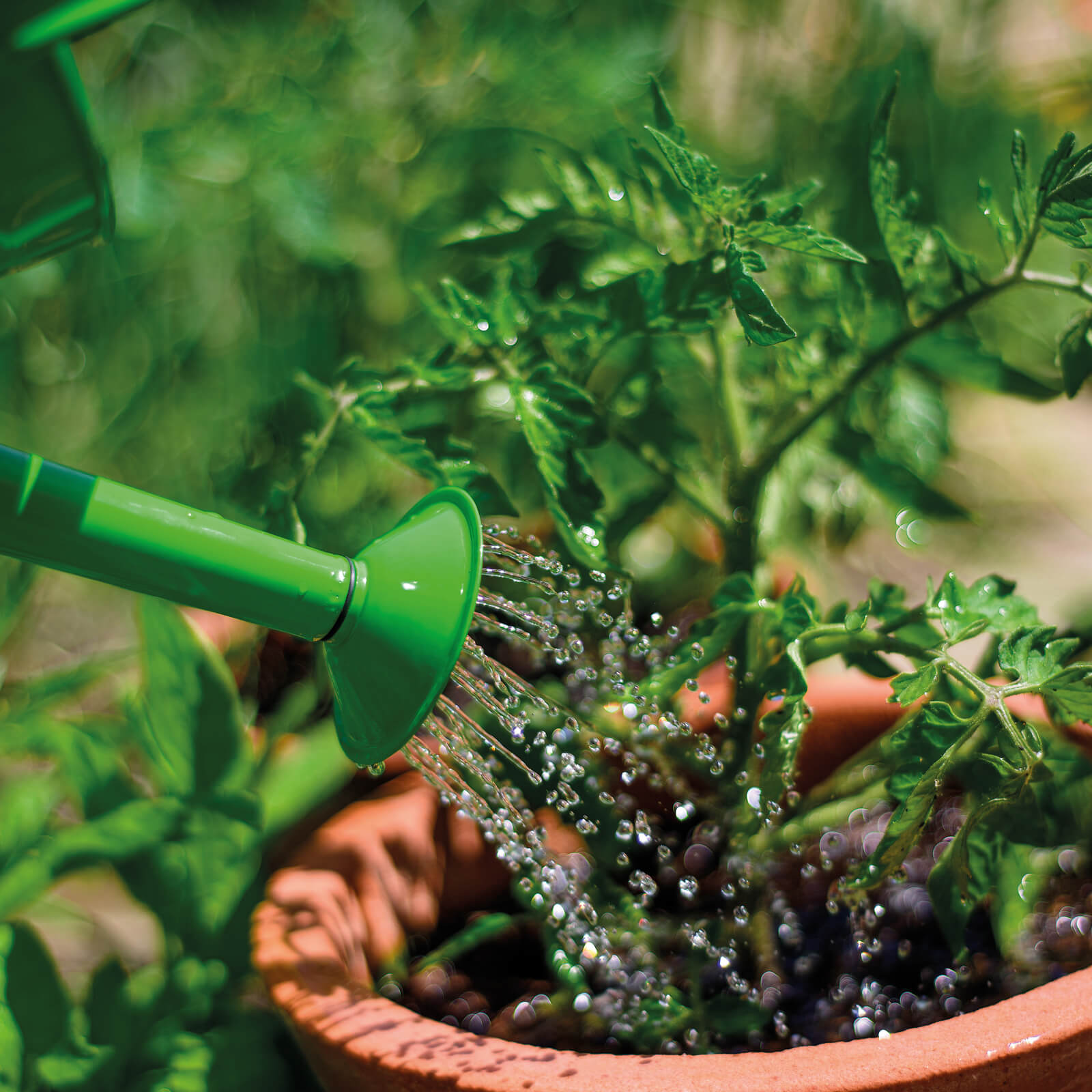 Kids Green Watering Can